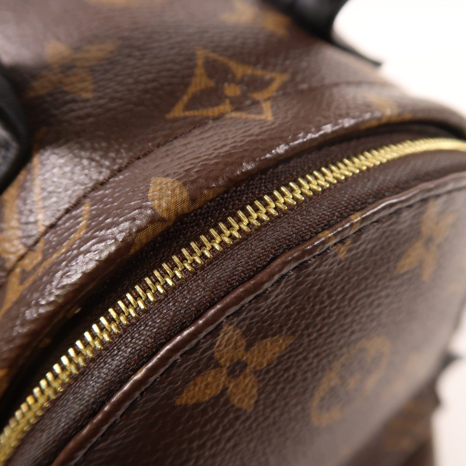 LOUIS VUITTON Monogram Palm Springs Mini金扣背包