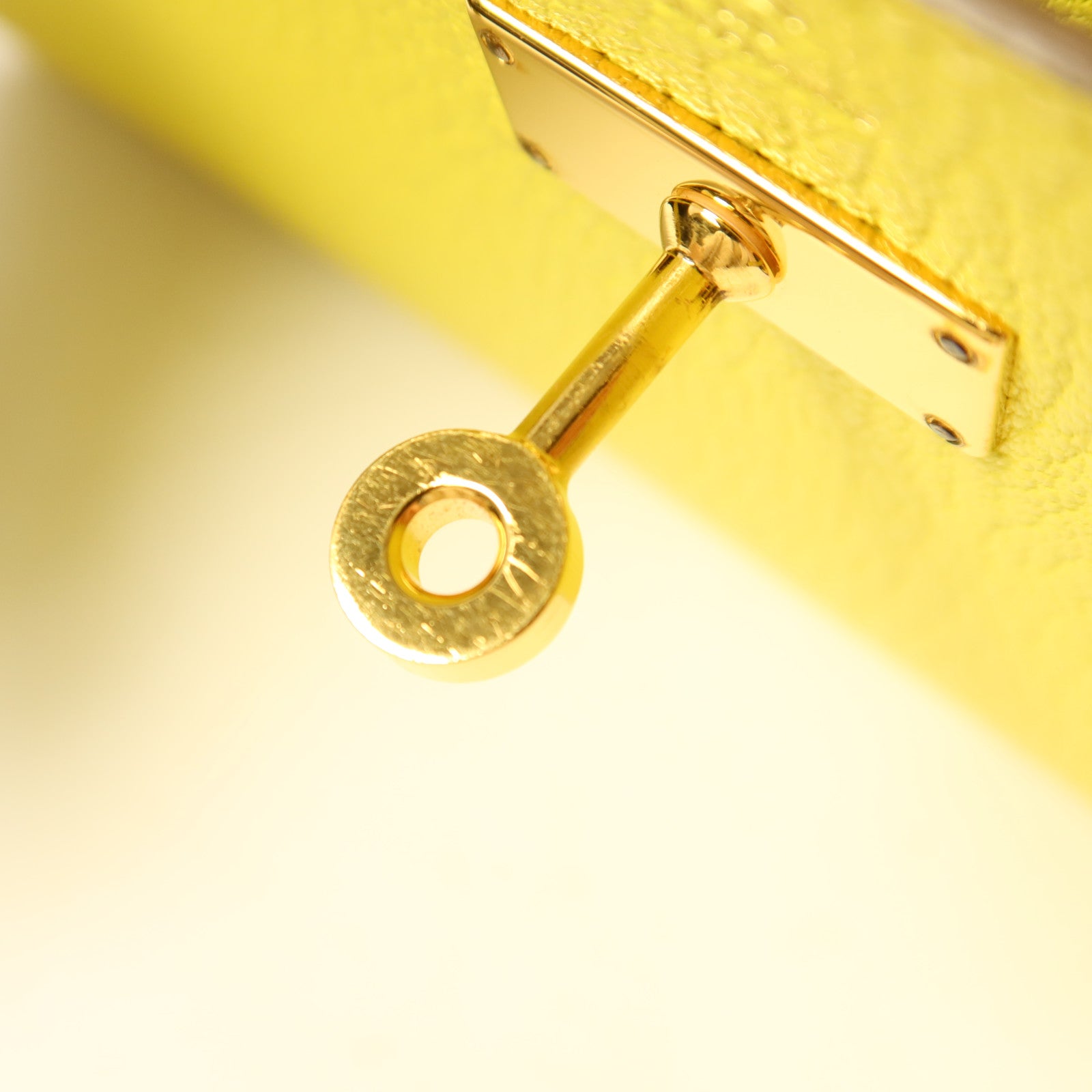 HERMES Chevre皮革Kelly To Go金扣肩背袋Lime