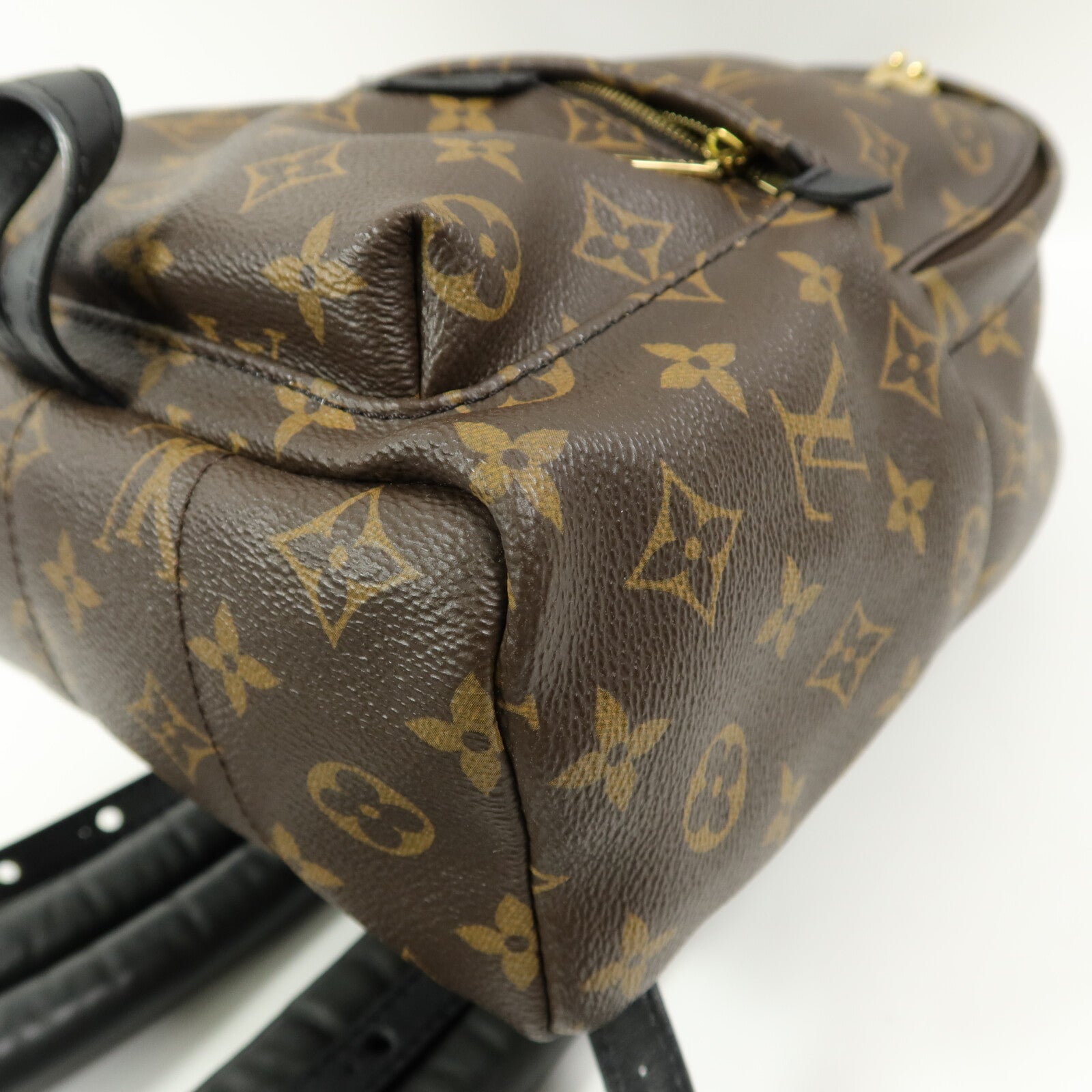 LOUIS VUITTON Monogram Palm Springs PM背包