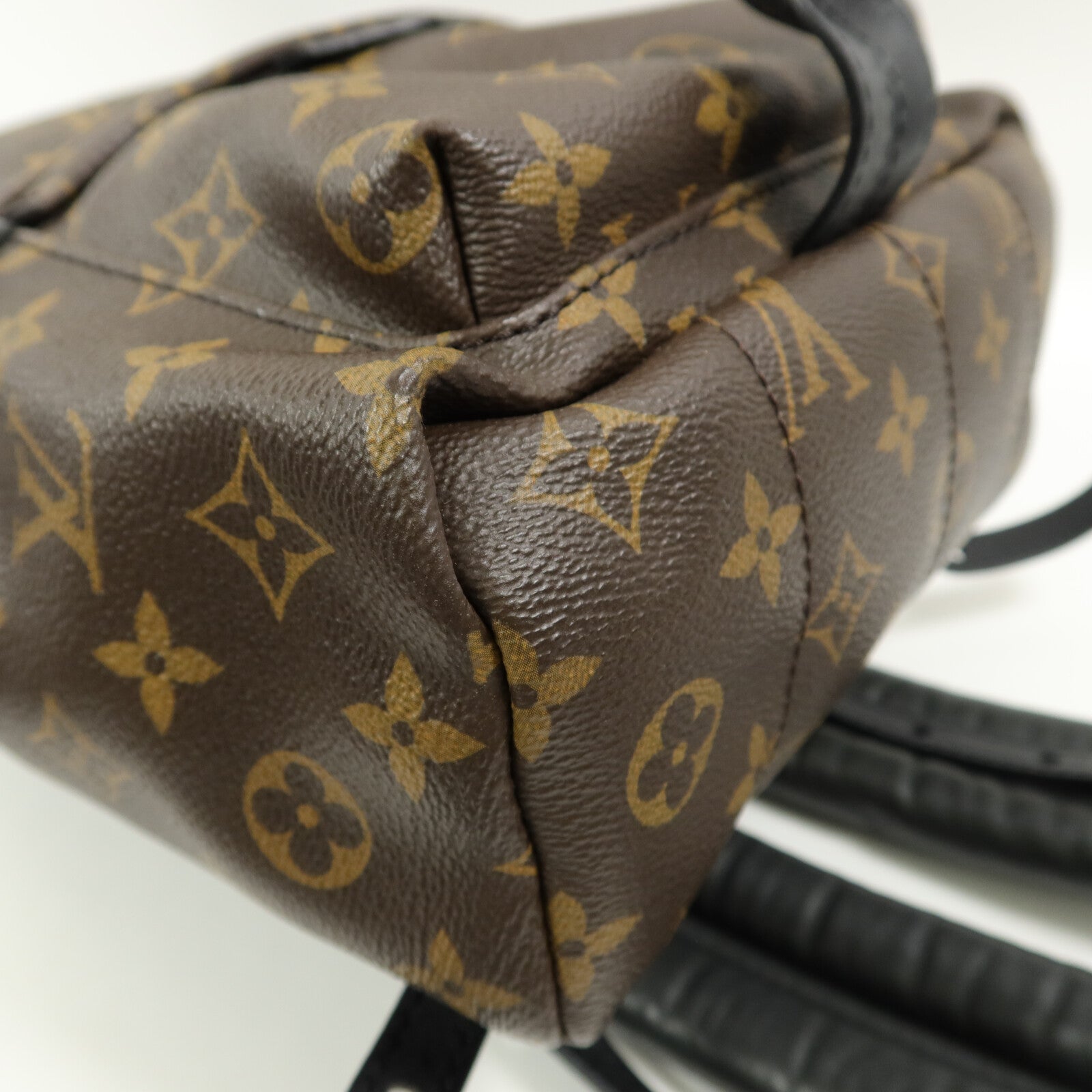 LOUIS VUITTON Monogram Palm Springs PM背包
