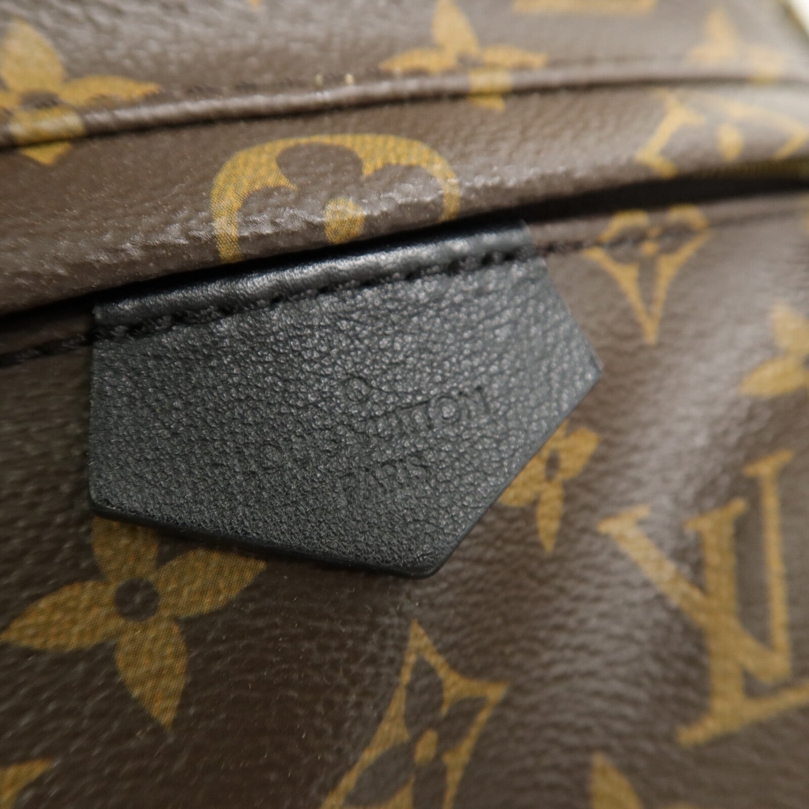 LOUIS VUITTON Monogram Palm Springs PM背包