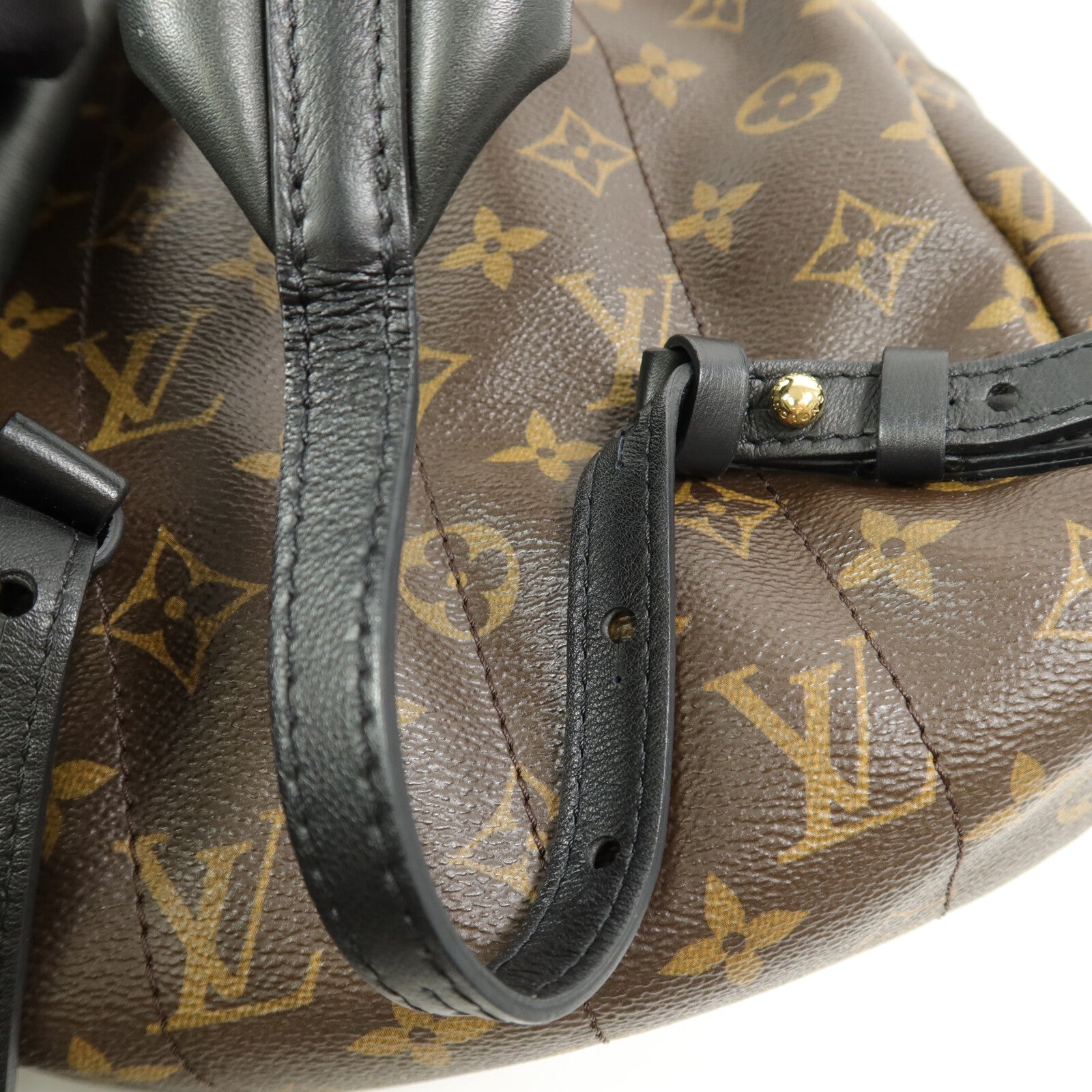LOUIS VUITTON Monogram Palm Springs PM背包
