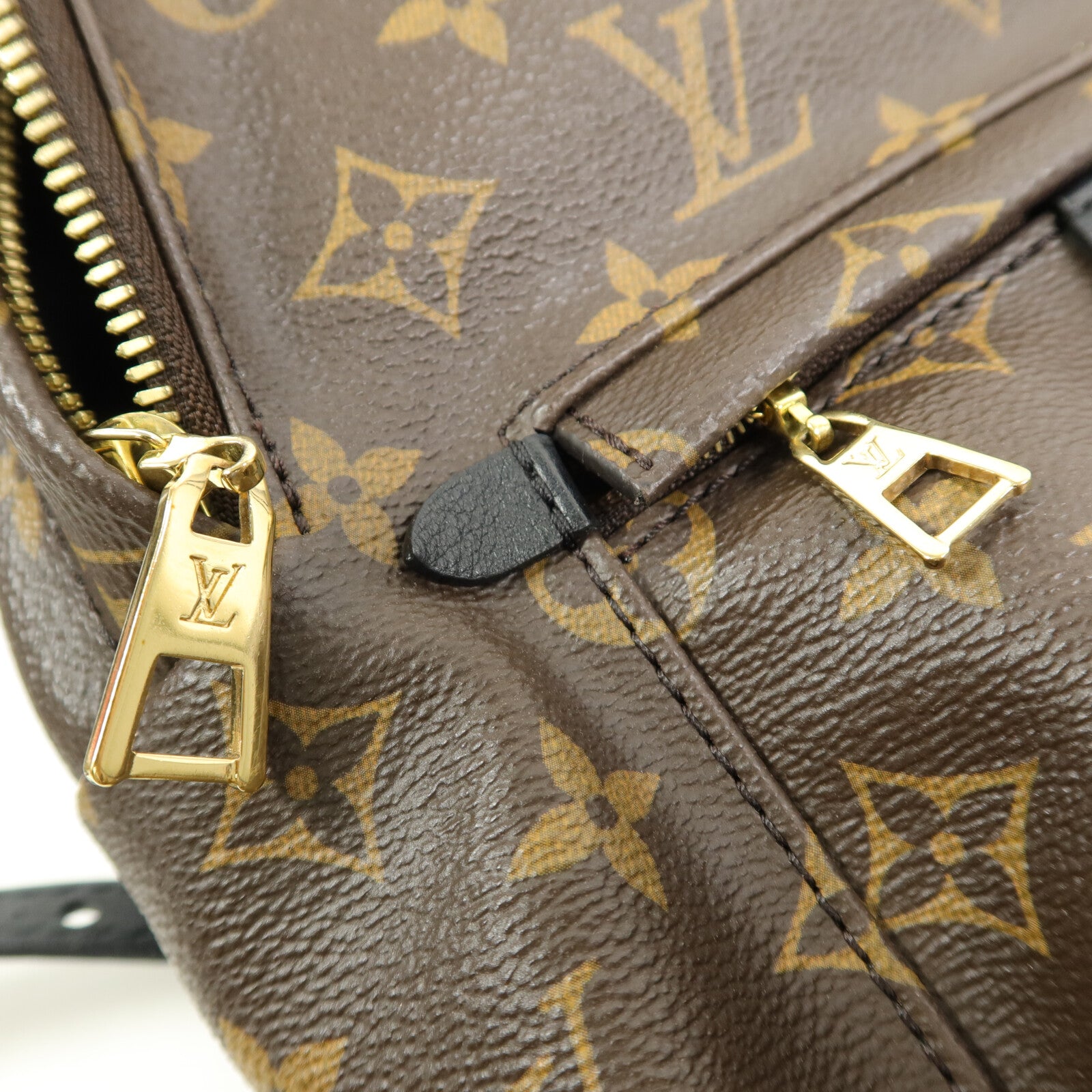LOUIS VUITTON Monogram Palm Springs PM背包