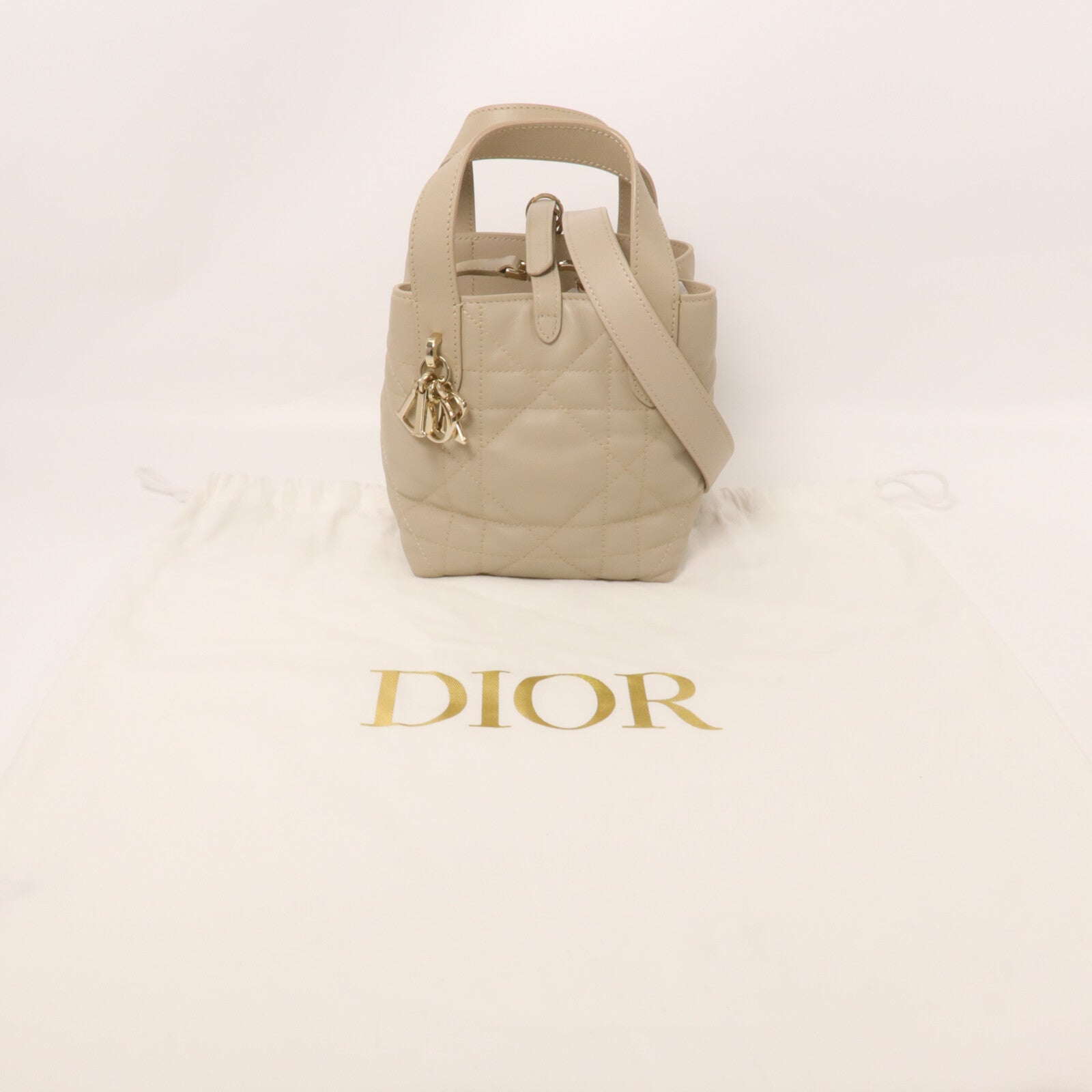 Dior 牛皮皮革Toujours Vertical Nano Tote Bag手挽肩背兩用袋