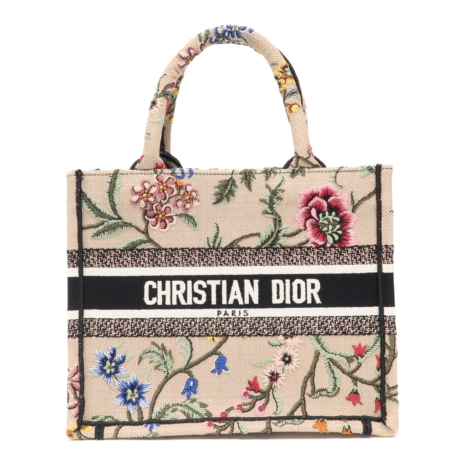 Dior 帆布Book Tote Small手挽袋彩色