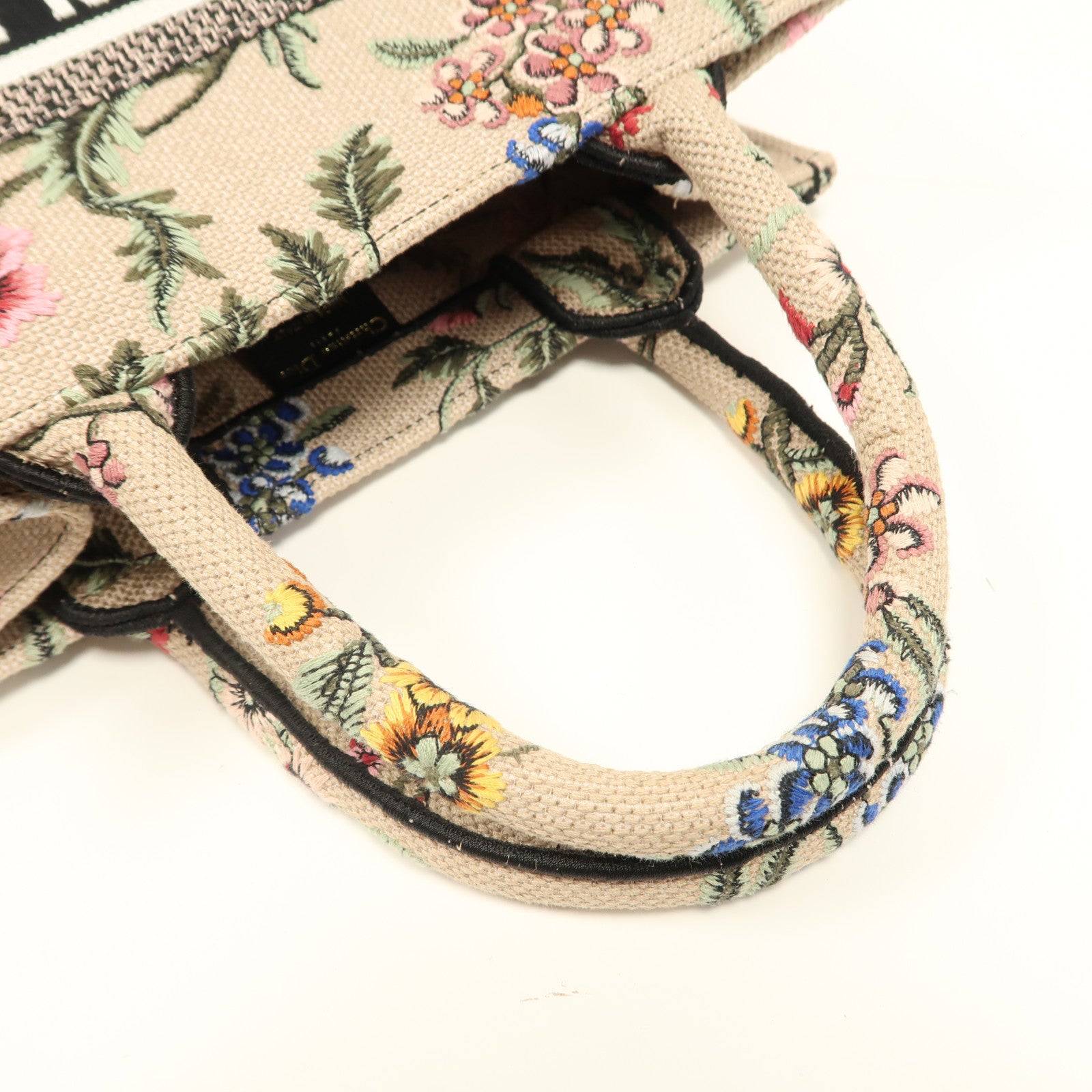 Dior 帆布Book Tote Small手挽袋彩色