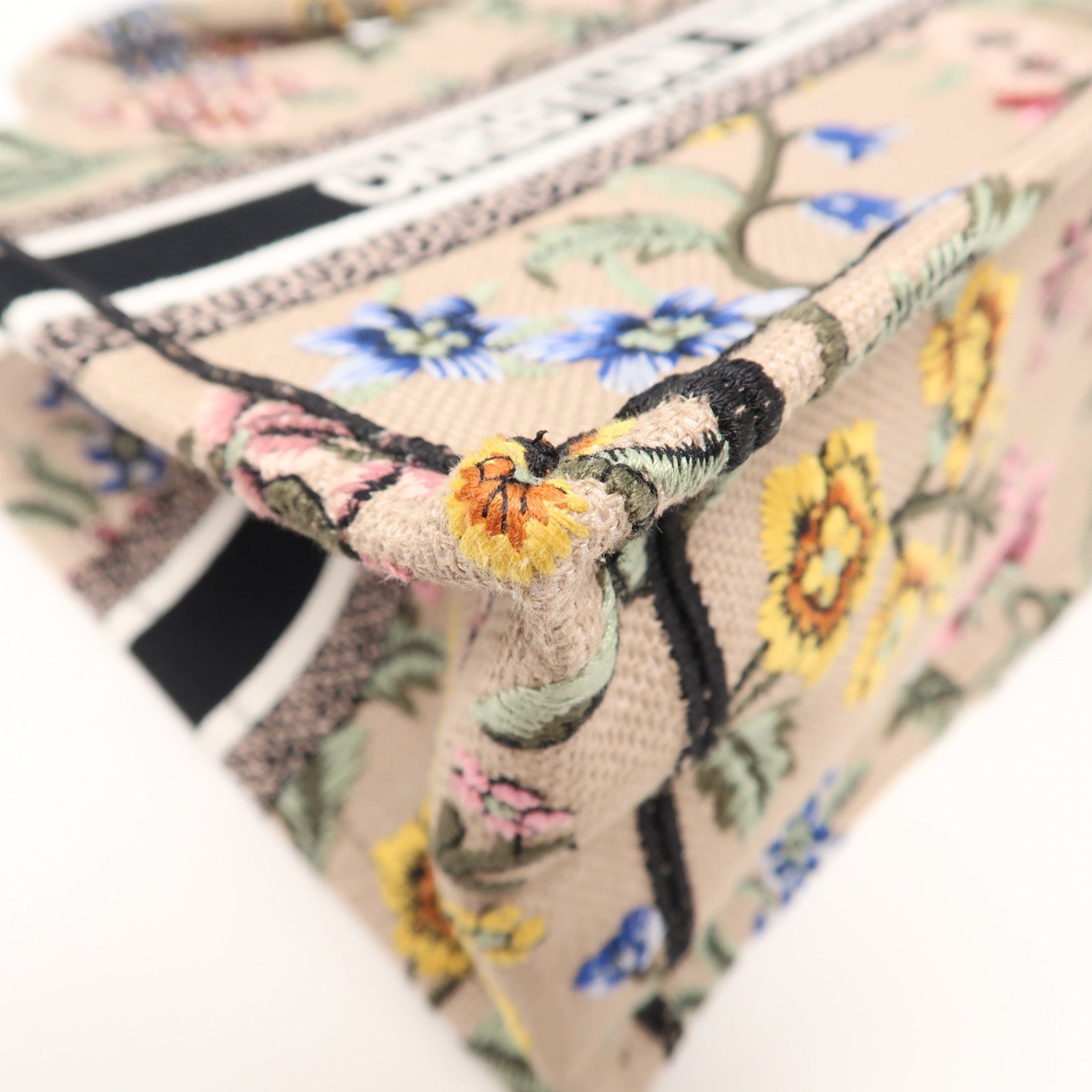 Dior 帆布Book Tote Small手挽袋彩色