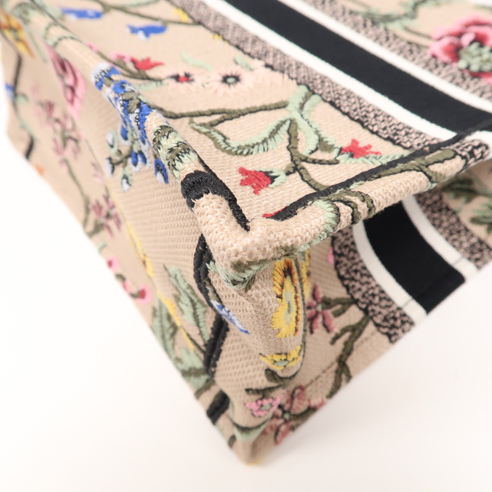 Dior 帆布Book Tote Small手挽袋彩色