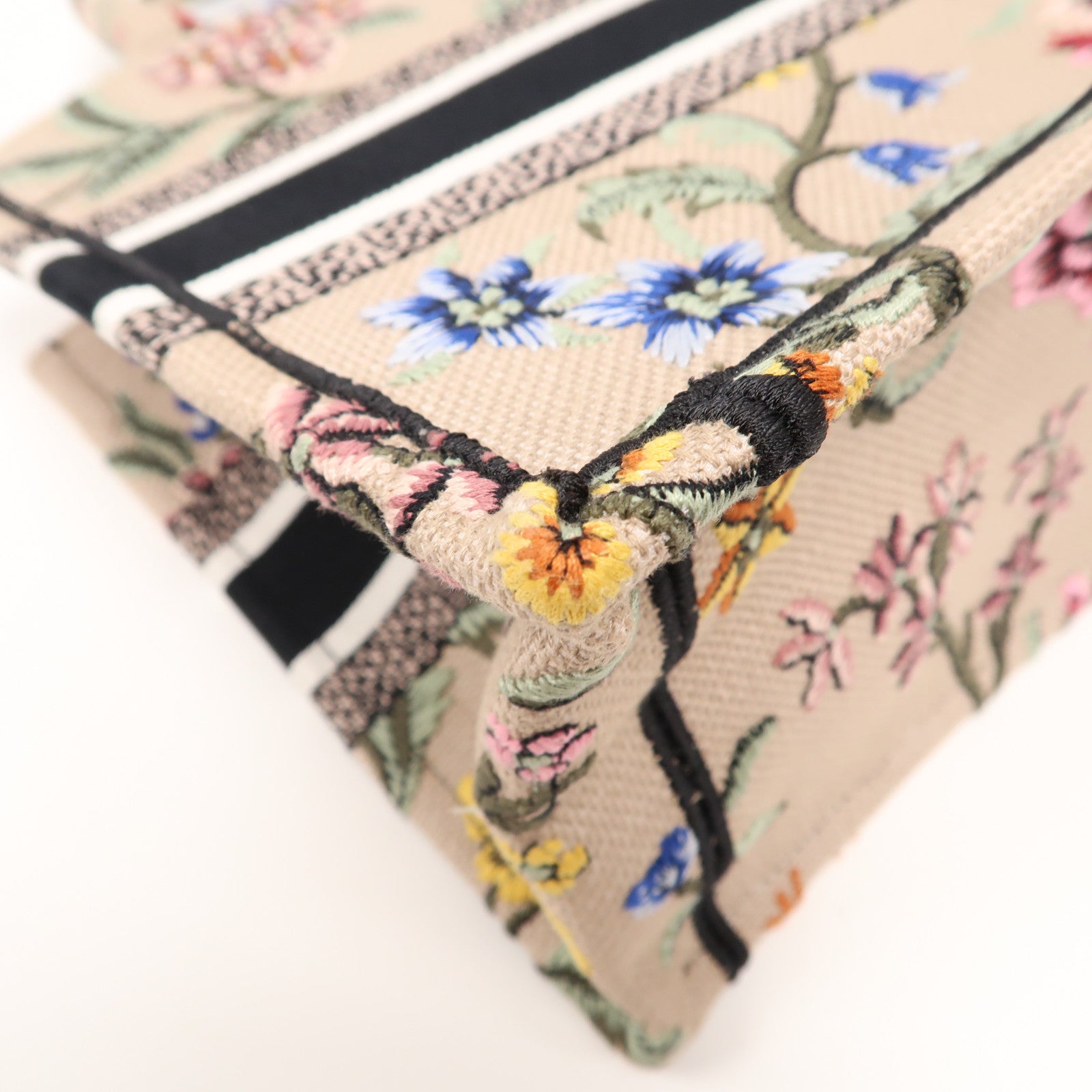Dior 帆布Book Tote Small手挽袋彩色