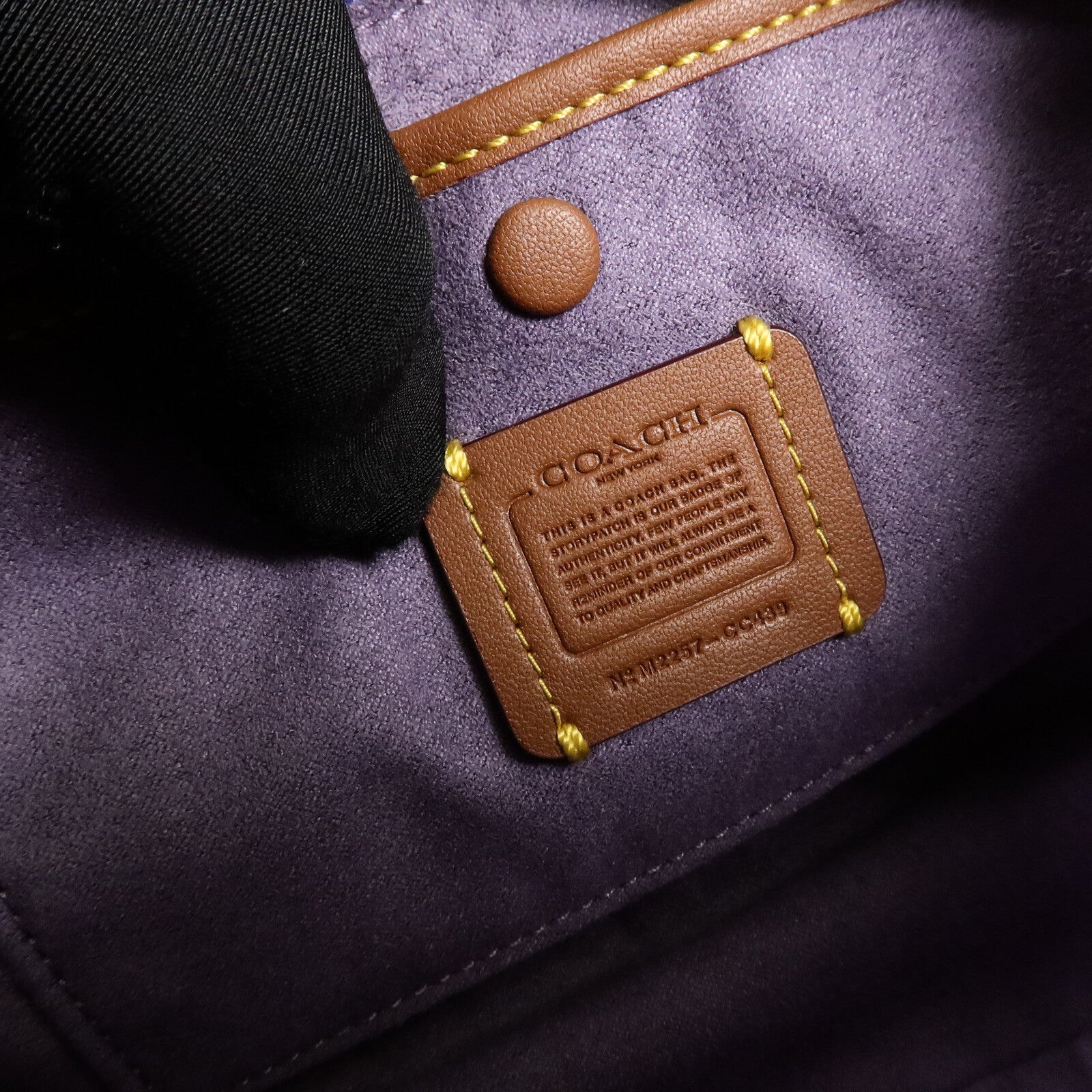 COACH 牛皮皮革Luna Shoulder Bag肩背袋