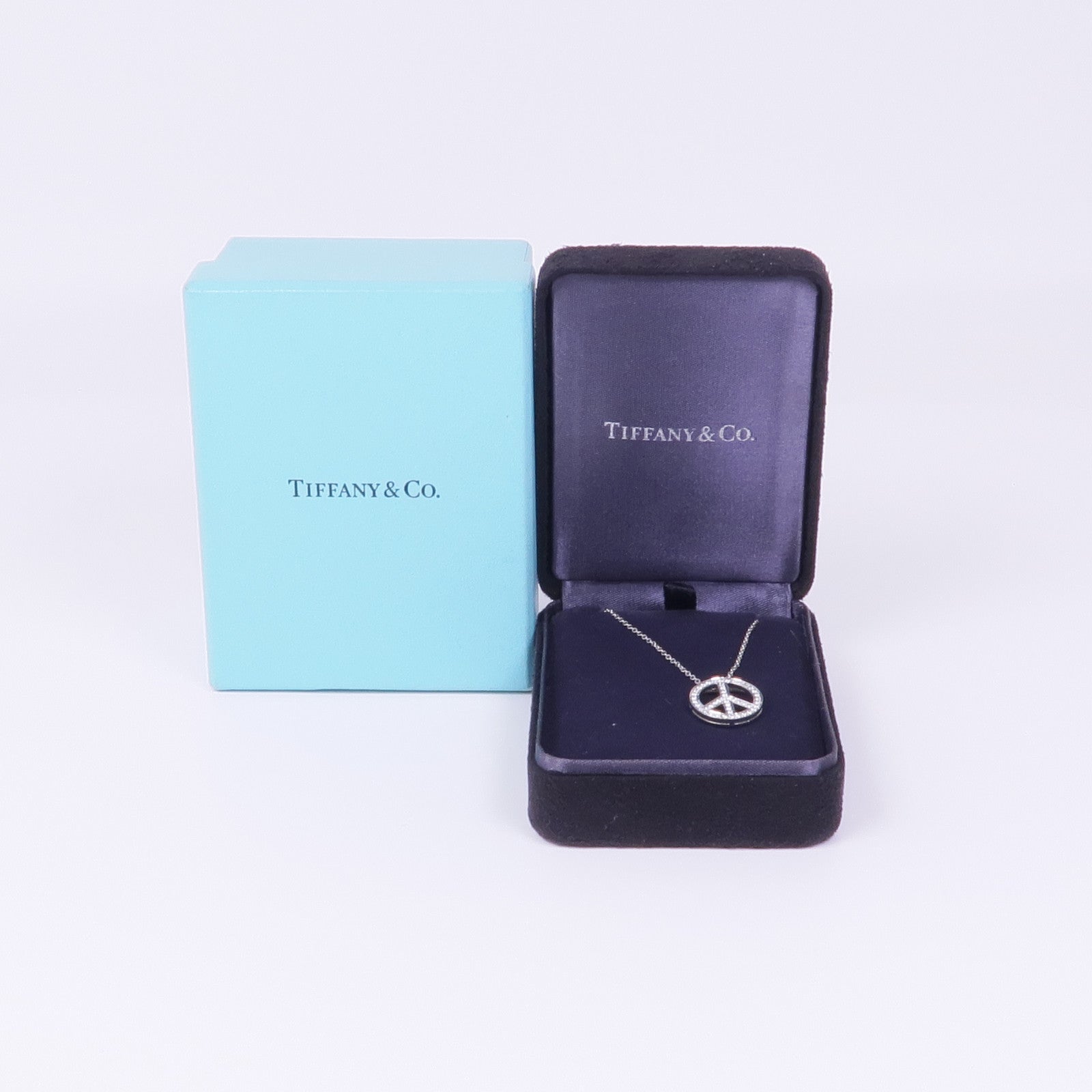 TIFFANY＆CO PT900鉑金Necklace項鍊