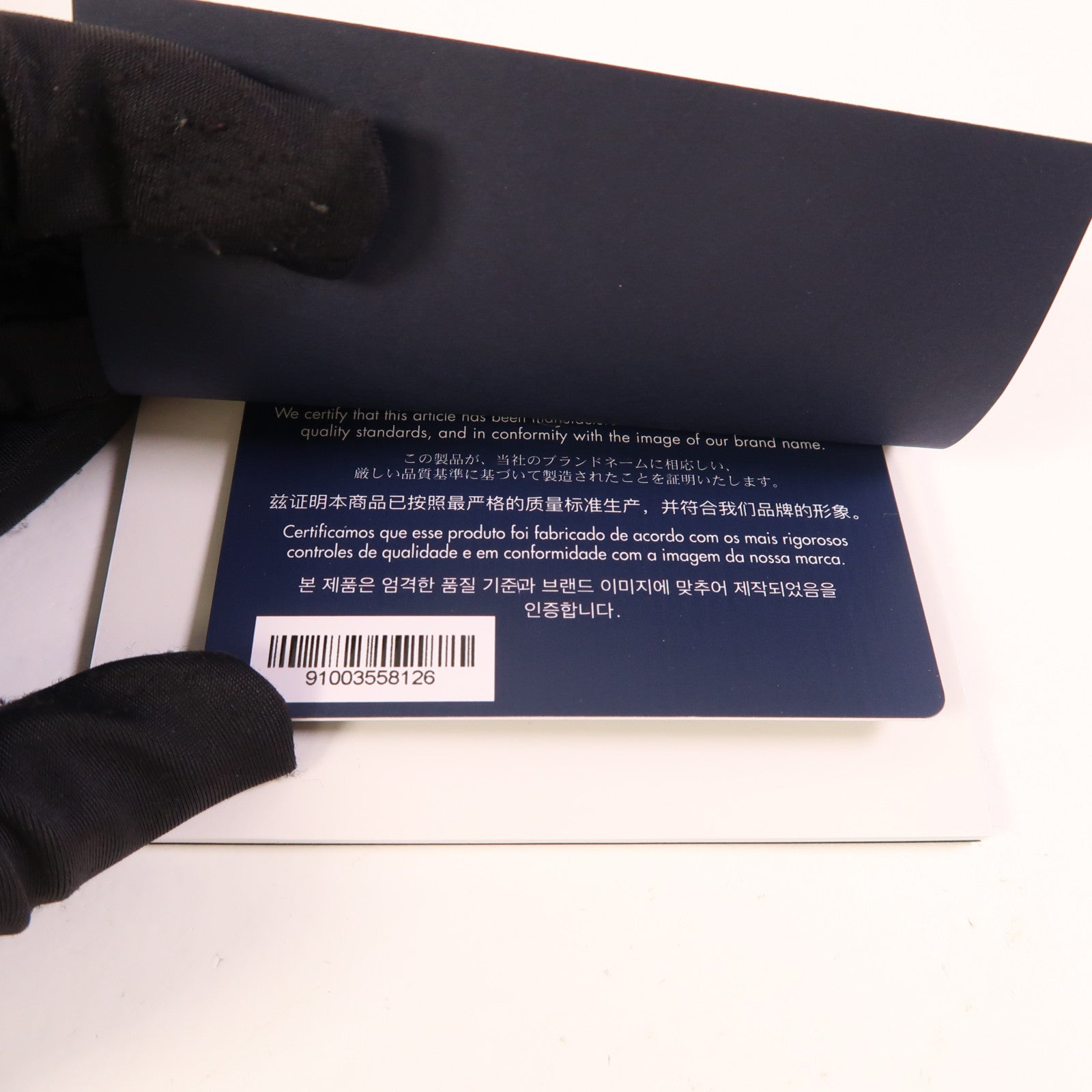 Dior 塗層帆布Riger銀扣背包