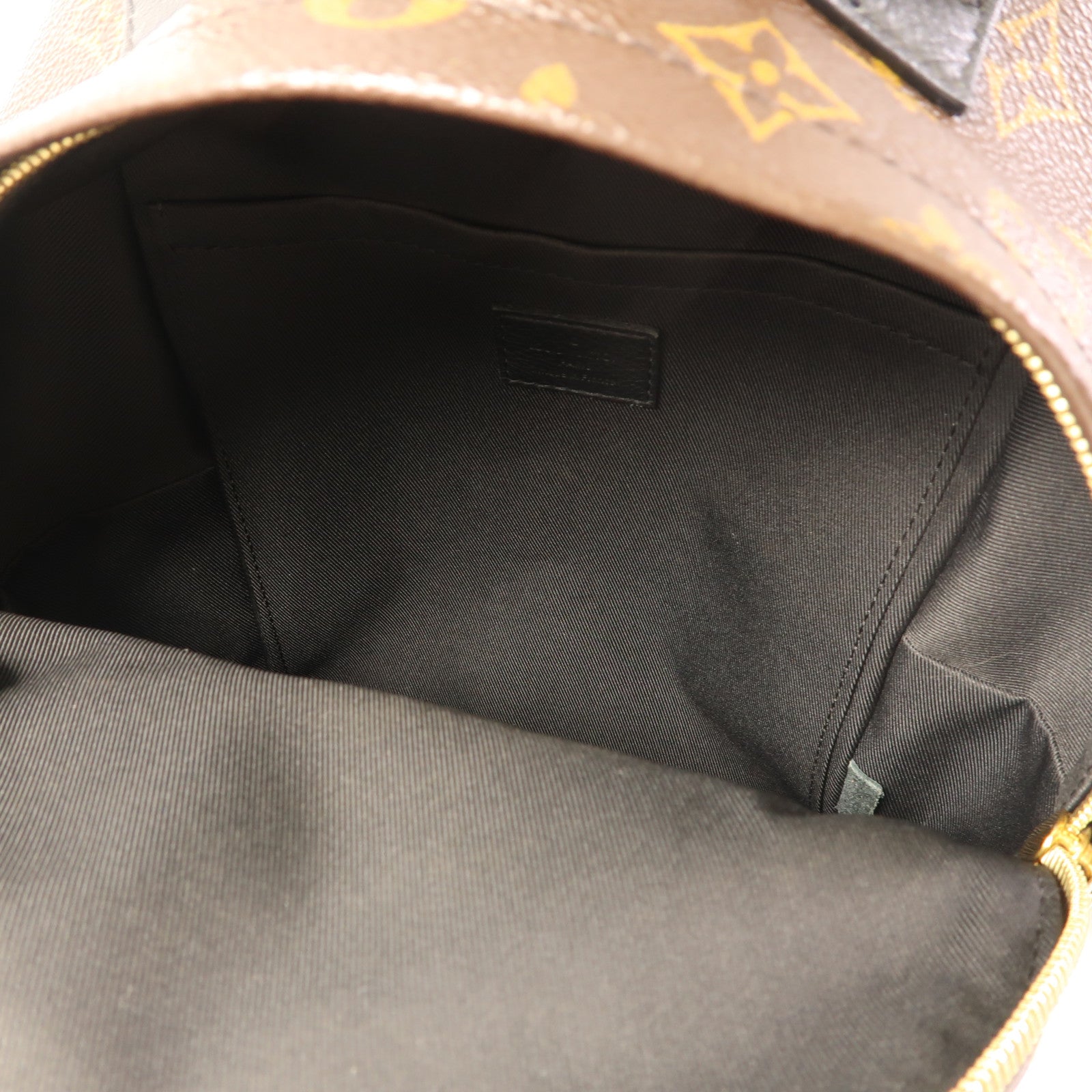 LOUIS VUITTON LV GHW Palm Spring Backpack M44874 Monogram Brown