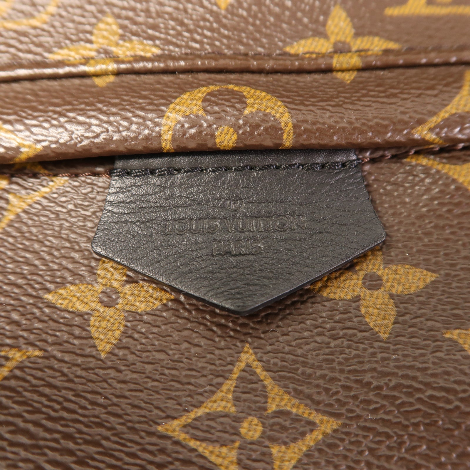 LOUIS VUITTON LV GHW Palm Spring Backpack M44874 Monogram Brown