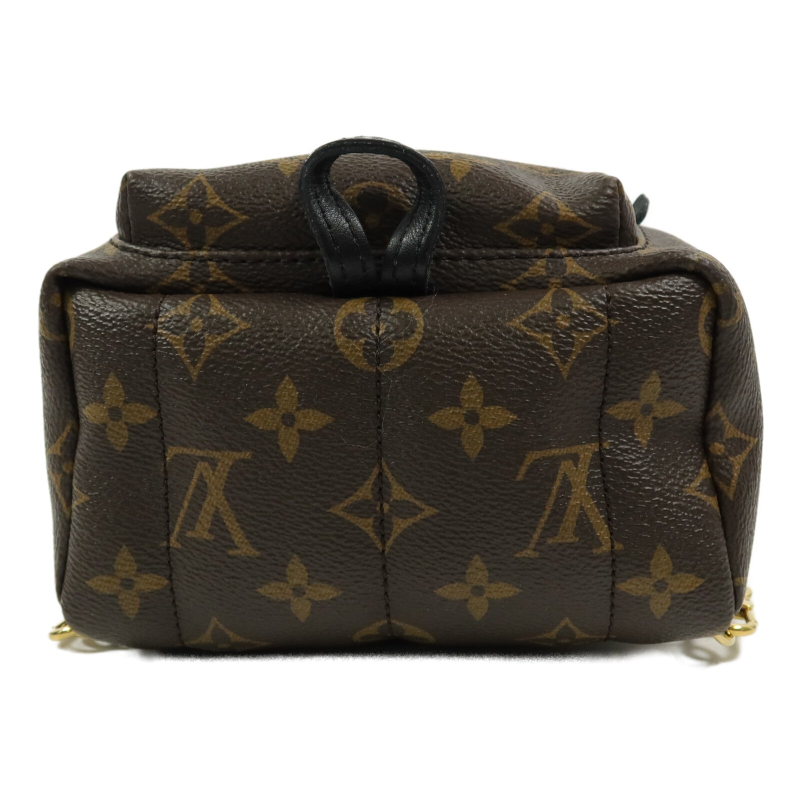 LOUIS VUITTON Monogram Palm Springs Mini背包