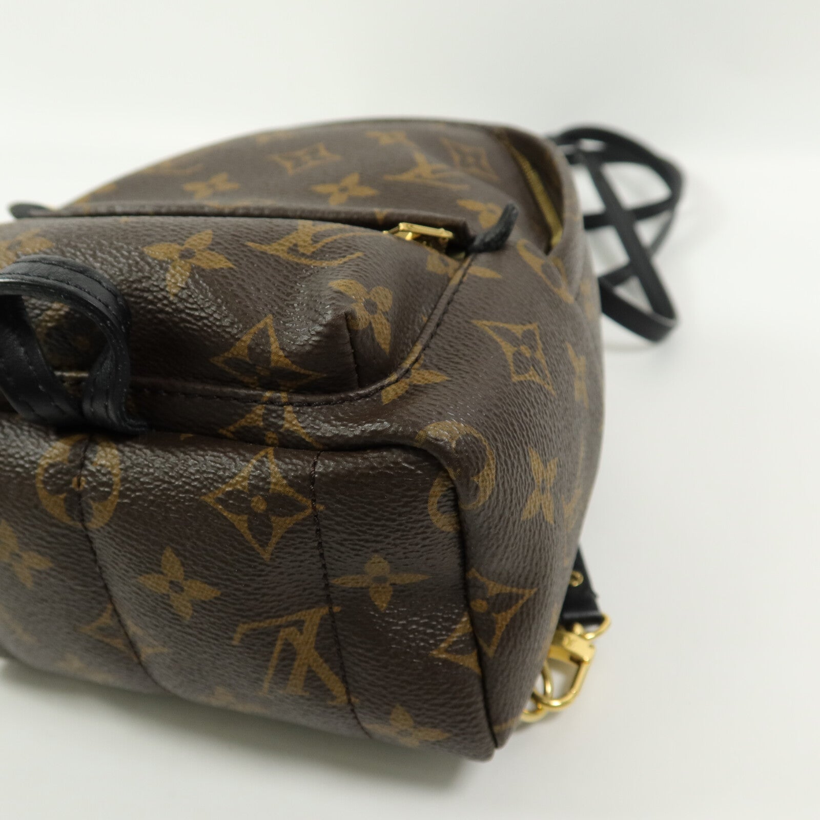 LOUIS VUITTON Monogram Palm Springs Mini背包