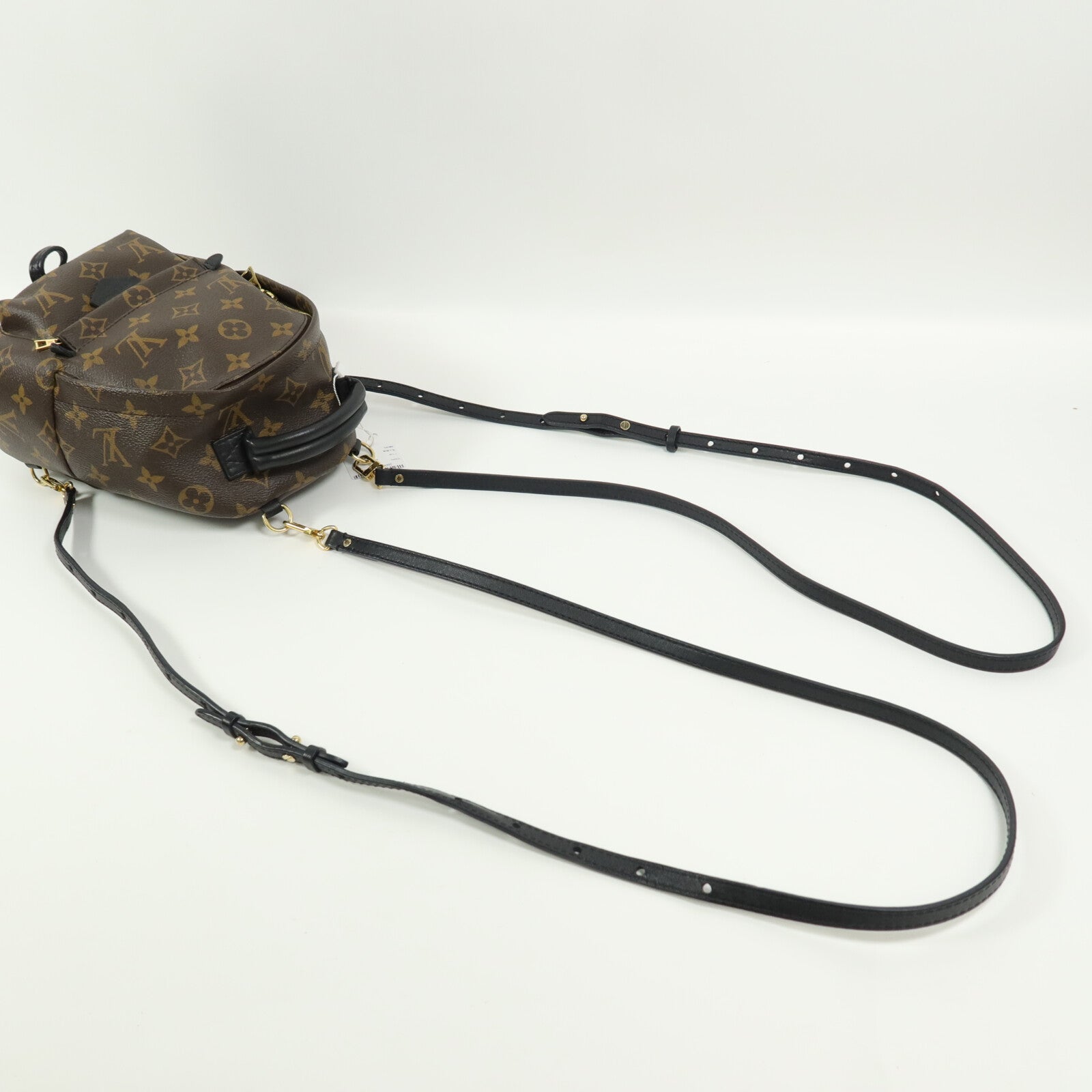 LOUIS VUITTON Monogram Palm Springs Mini背包