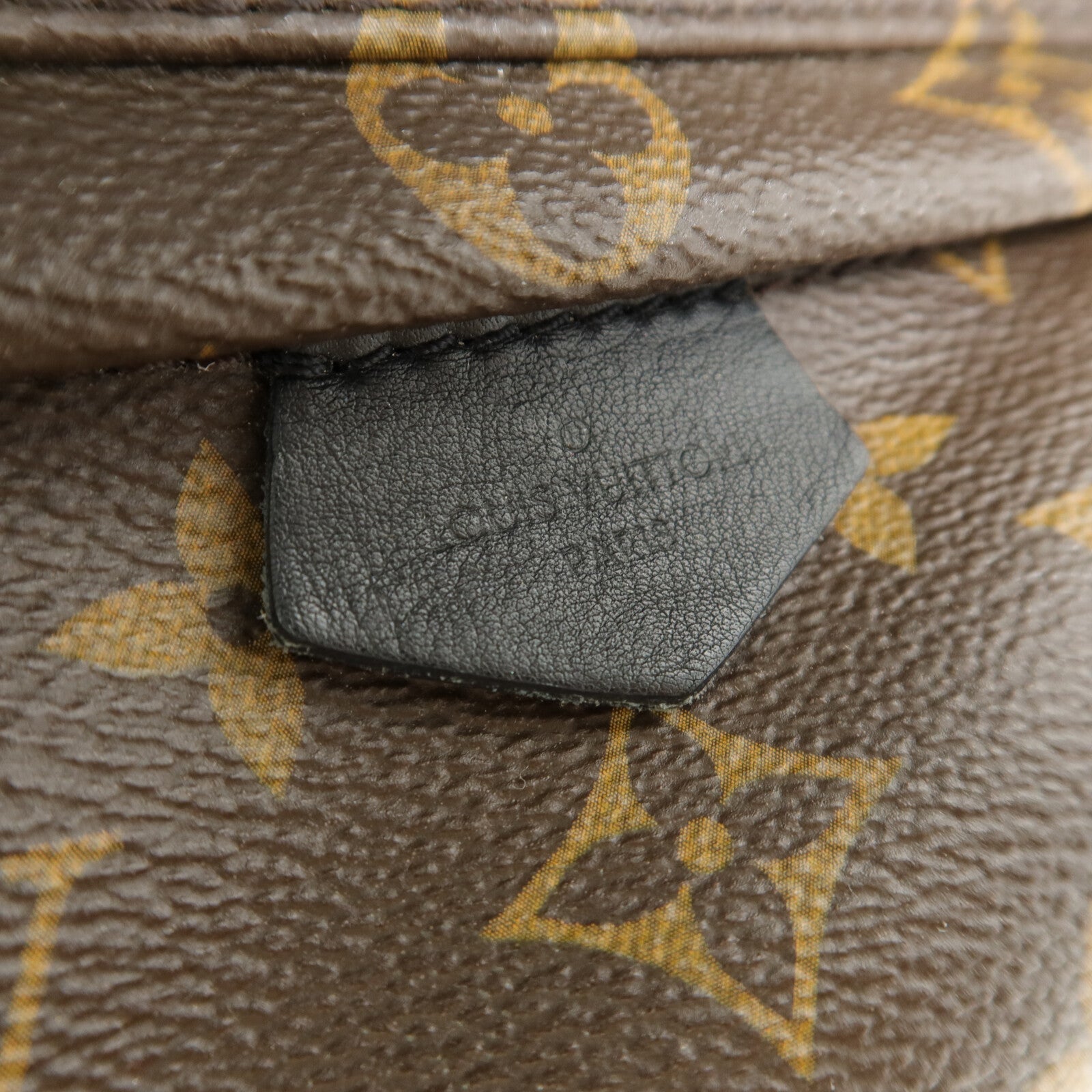 LOUIS VUITTON Monogram Palm Springs Mini背包