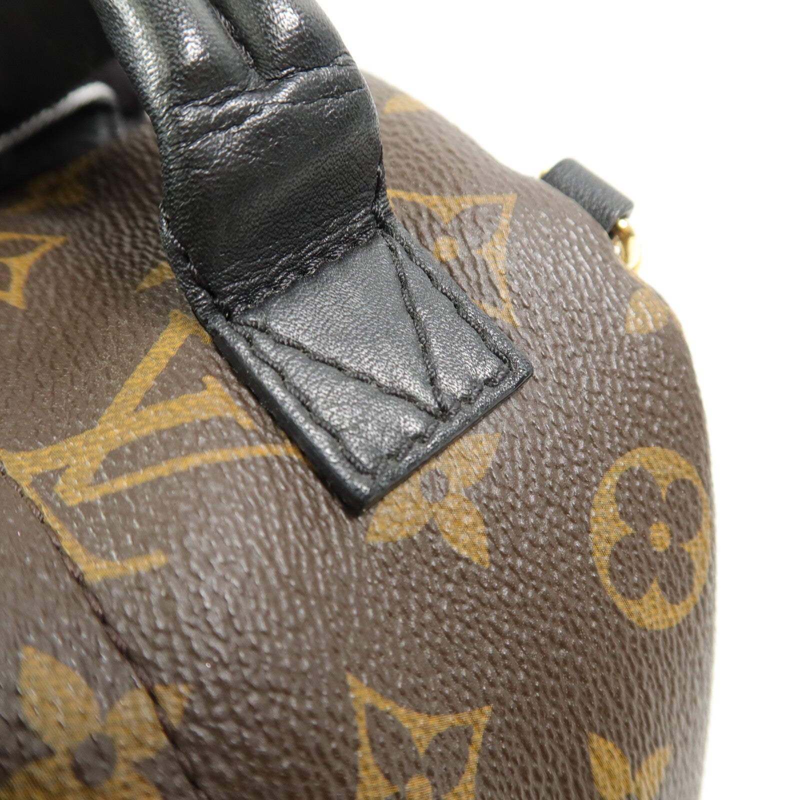 LOUIS VUITTON Monogram Palm Springs Mini背包