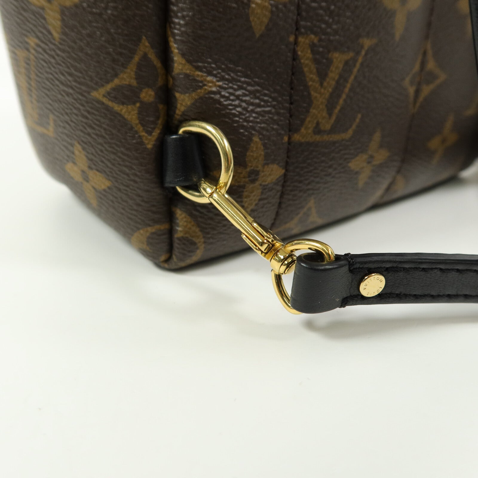 LOUIS VUITTON Monogram Palm Springs Mini背包