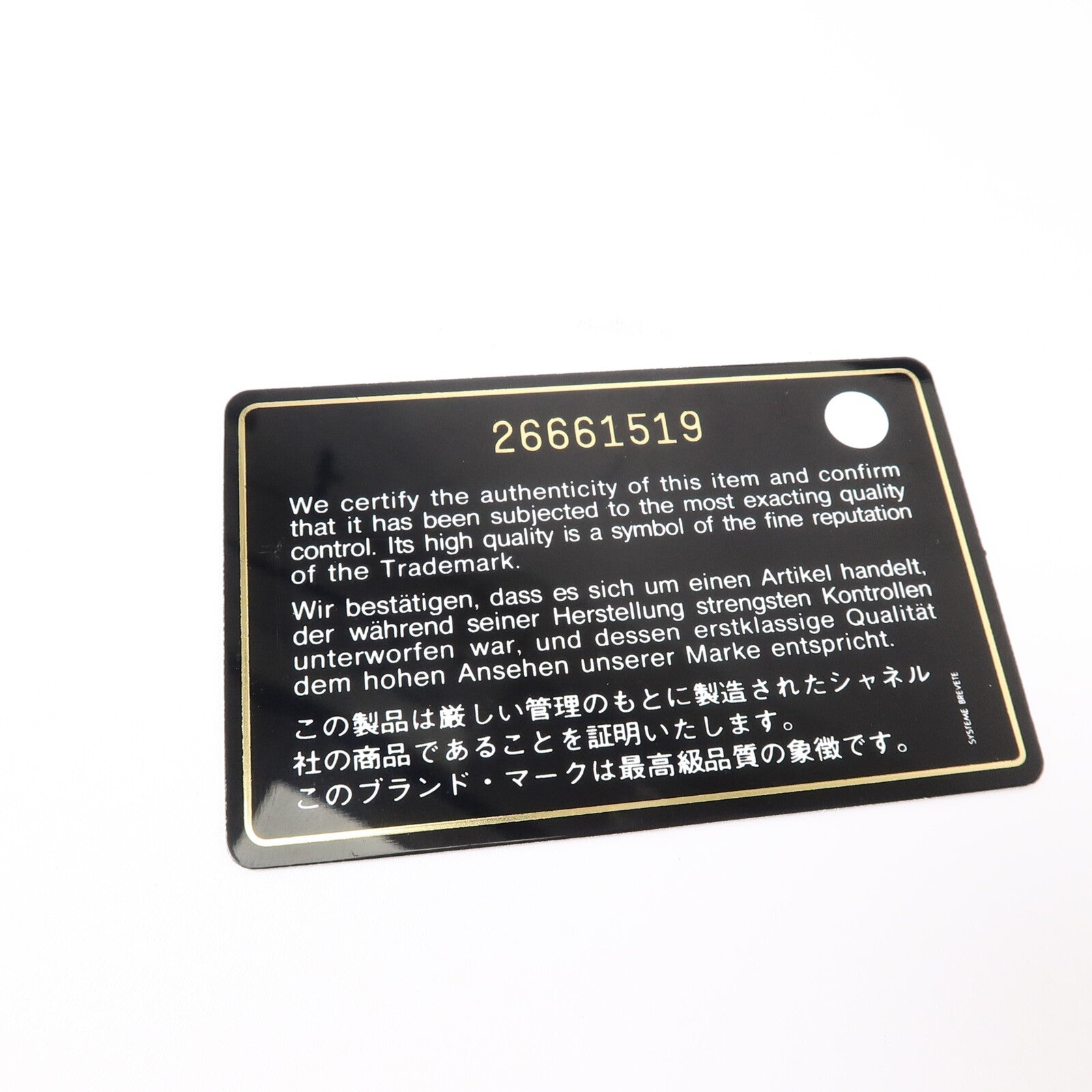 CHANEL 蜥蝪/牛皮皮革Coco Handle Medium鏈帶手挽肩背兩用袋