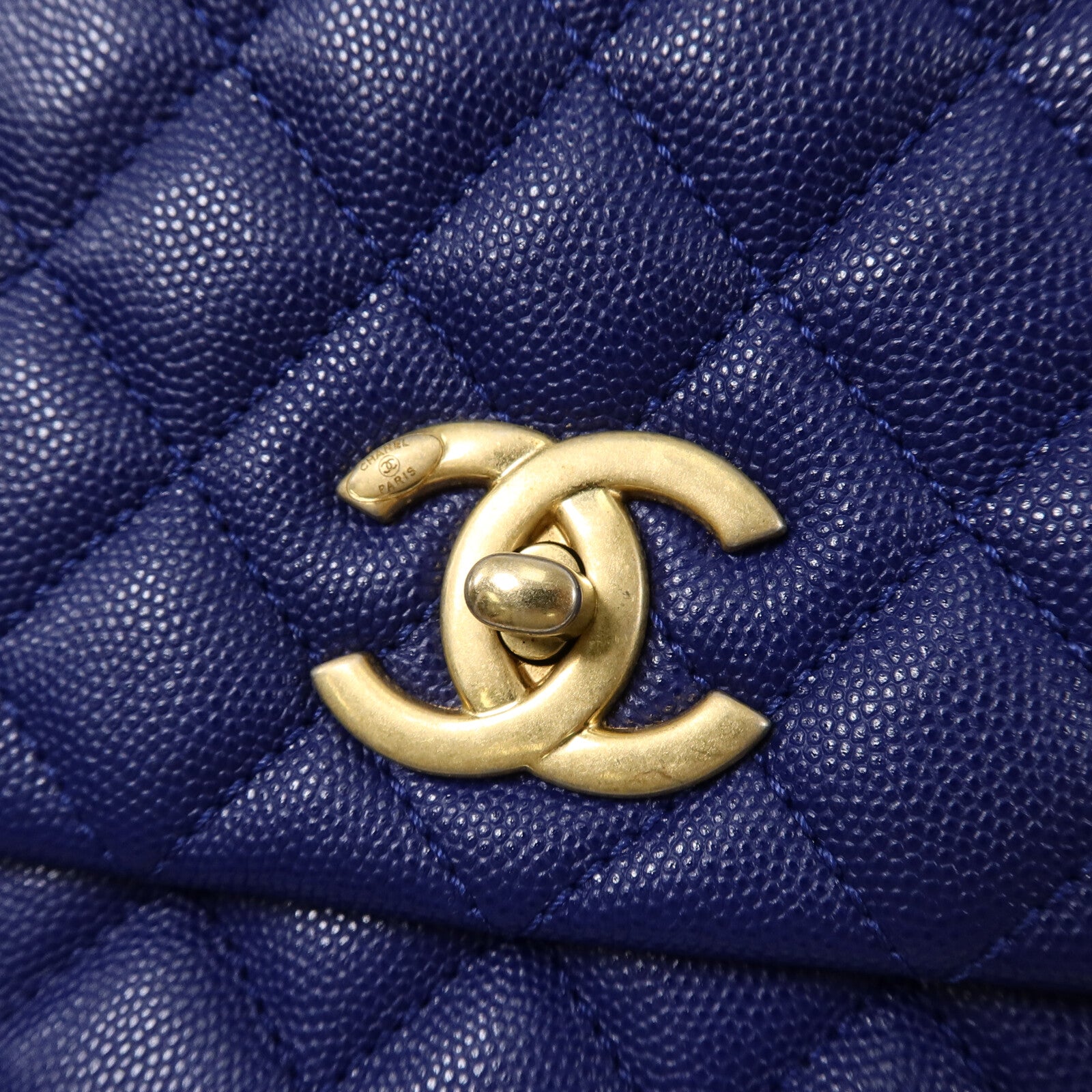 CHANEL 蜥蝪/牛皮皮革Coco Handle Medium鏈帶手挽肩背兩用袋
