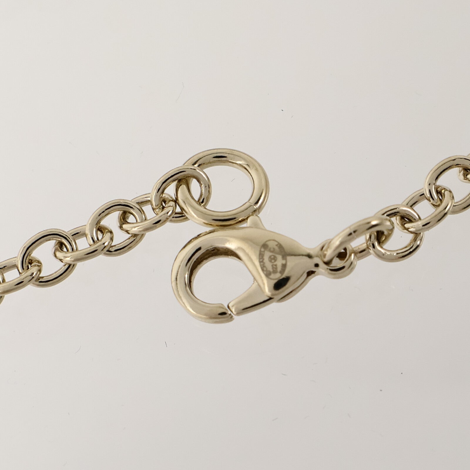 CHANEL 金屬/琺瑯Lion Book Locket Necklace項鏈