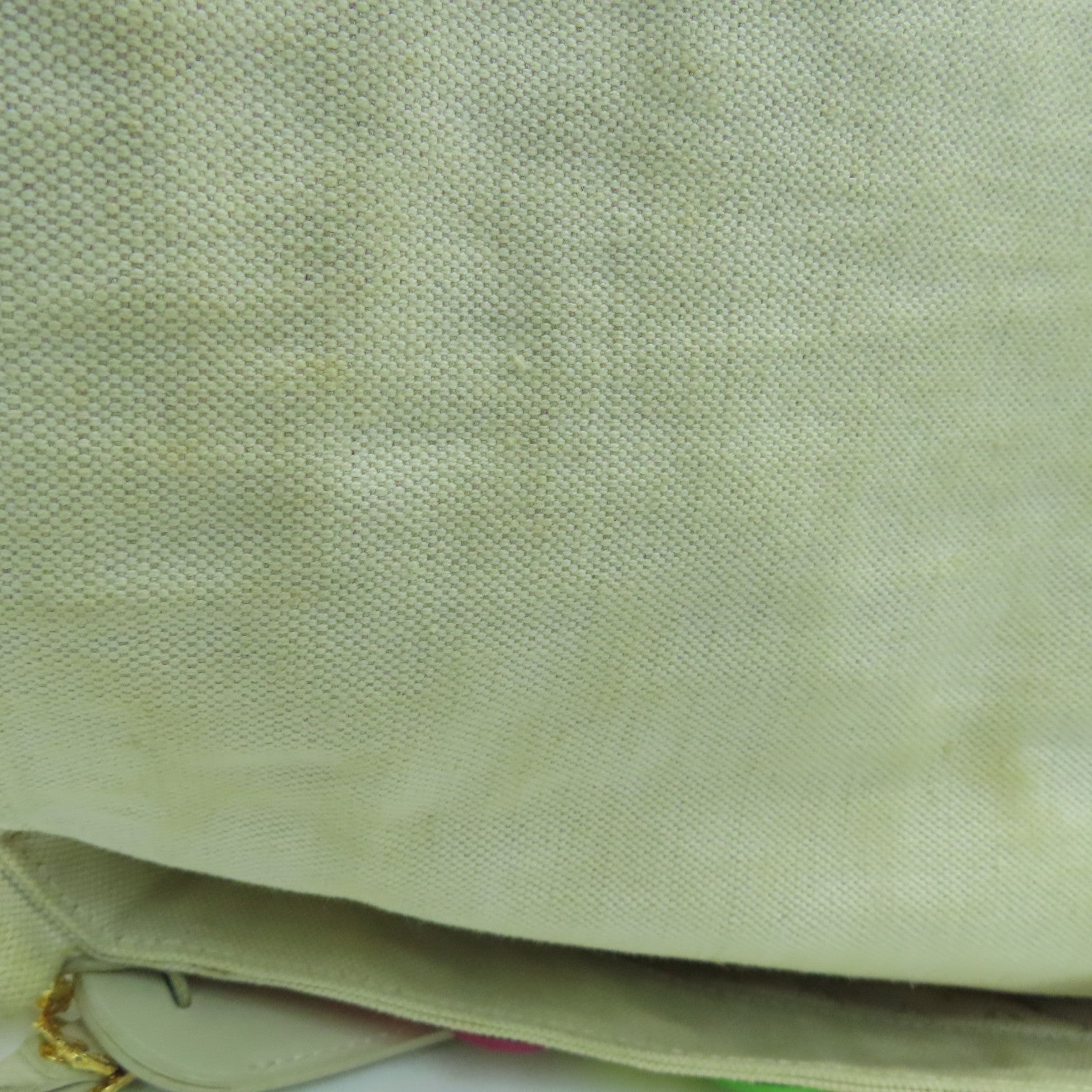 LOUIS VUITTON 帆布Polka Dot Fleurs肩背袋彩色
