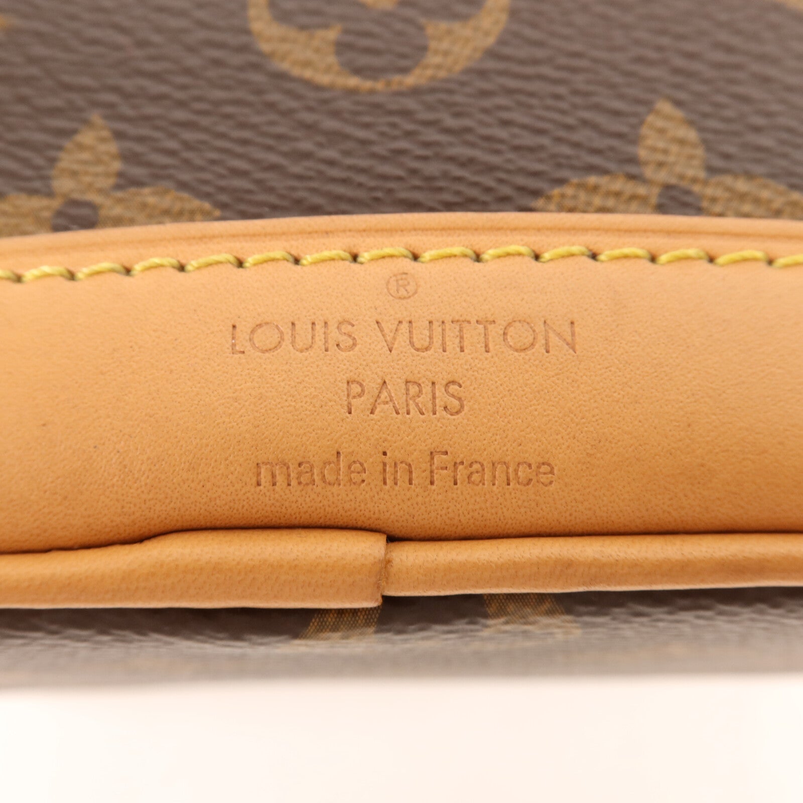 LOUIS VUITTON Monogram Nano Noe金扣手挽肩背兩用袋