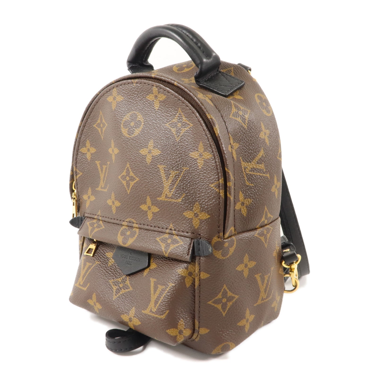 LOUIS VUITTON Monogram Palm Springs金扣背包棕色