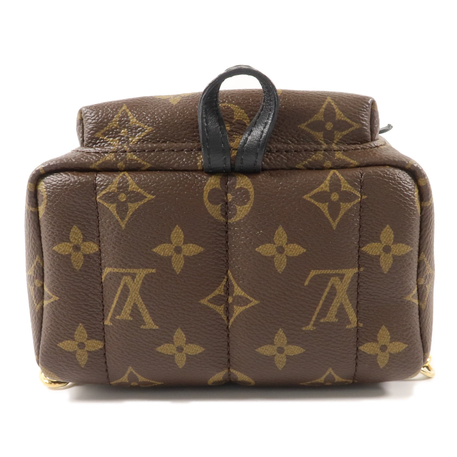 LOUIS VUITTON Monogram Palm Springs金扣背包棕色