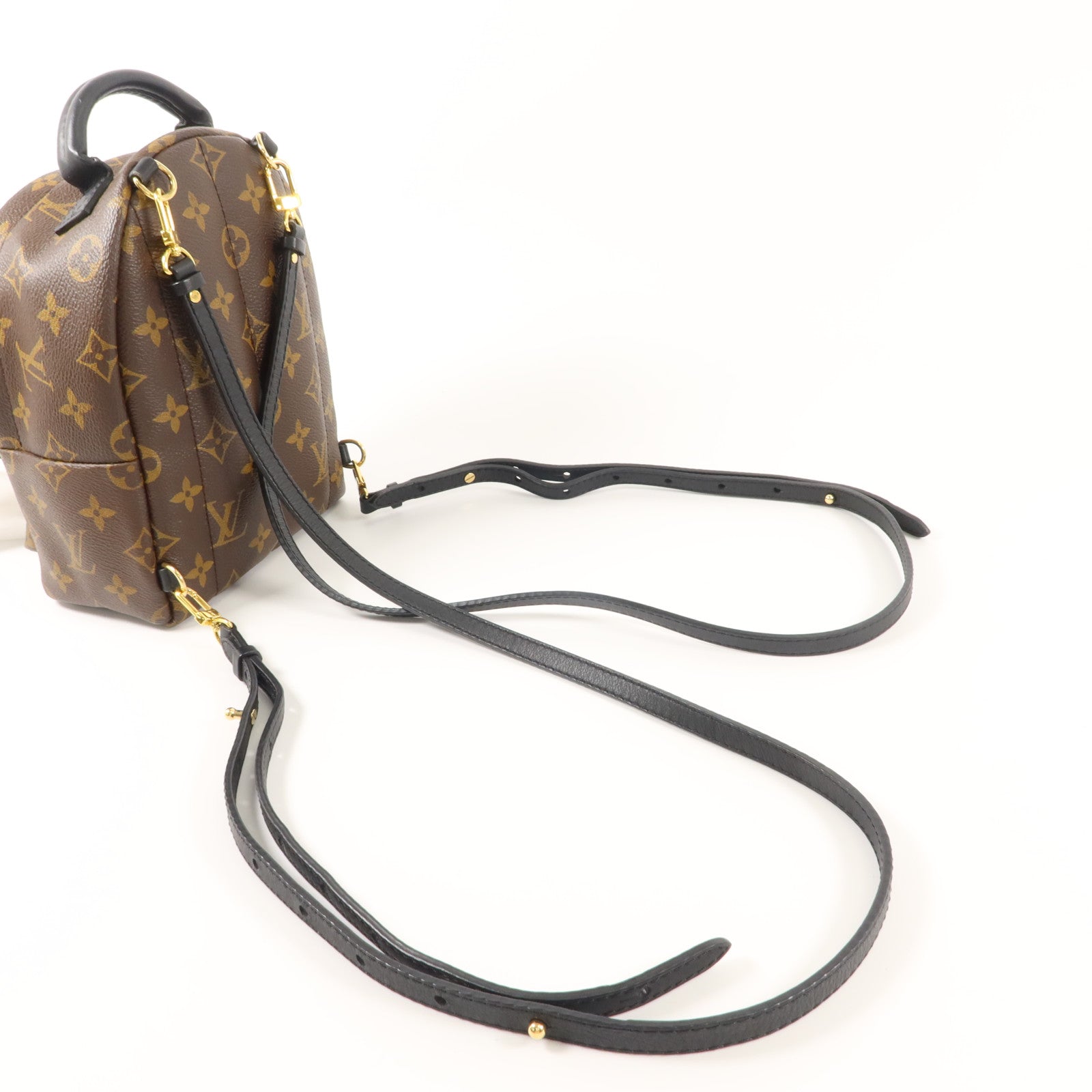 LOUIS VUITTON Monogram Palm Springs金扣背包棕色