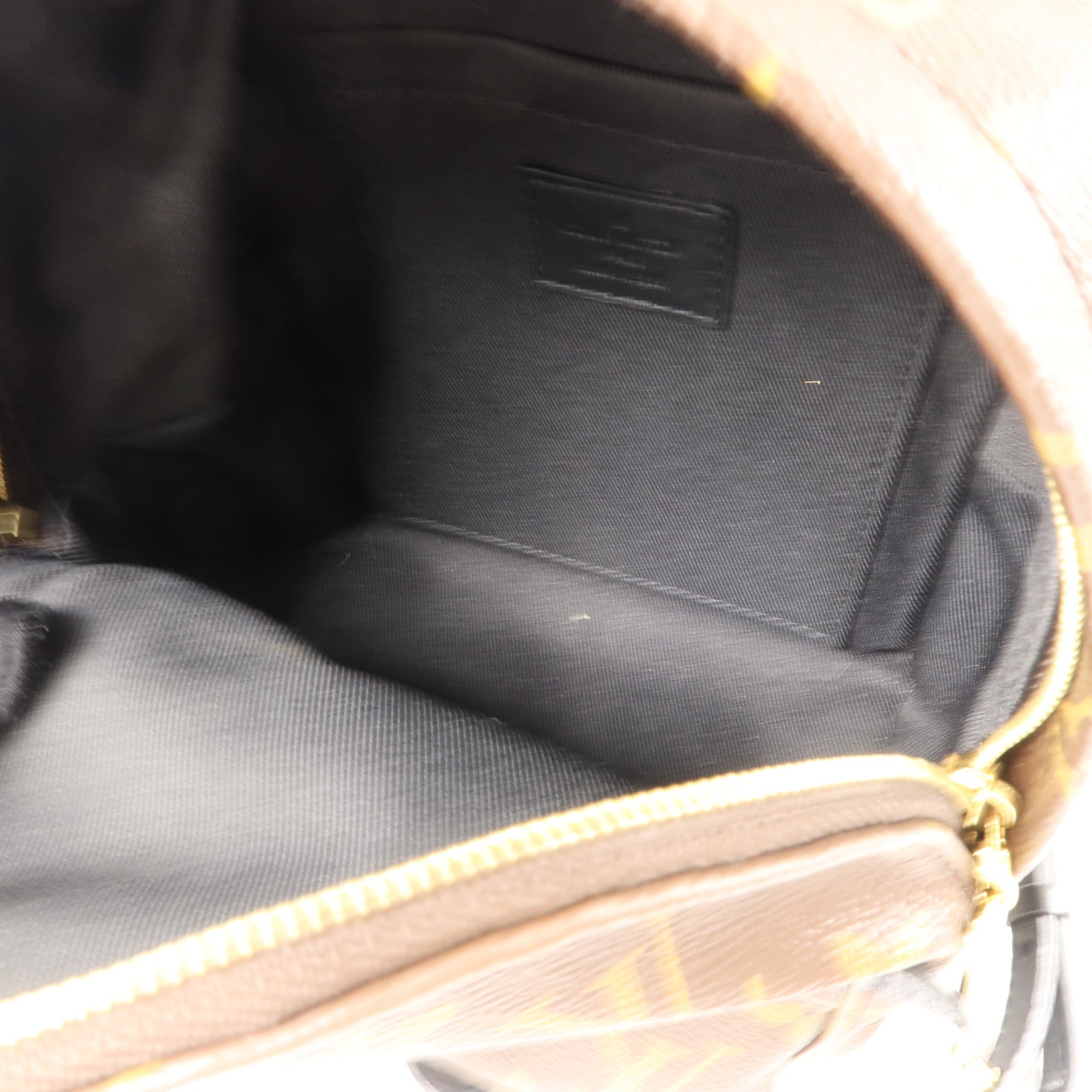 LOUIS VUITTON Monogram Palm Springs金扣背包棕色