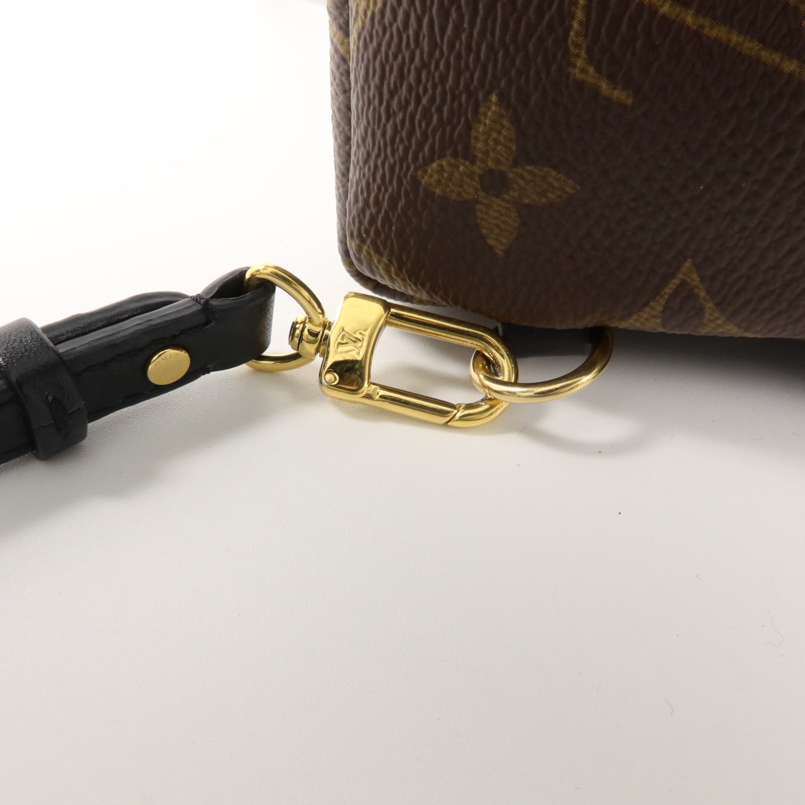 LOUIS VUITTON Monogram Palm Springs金扣背包棕色