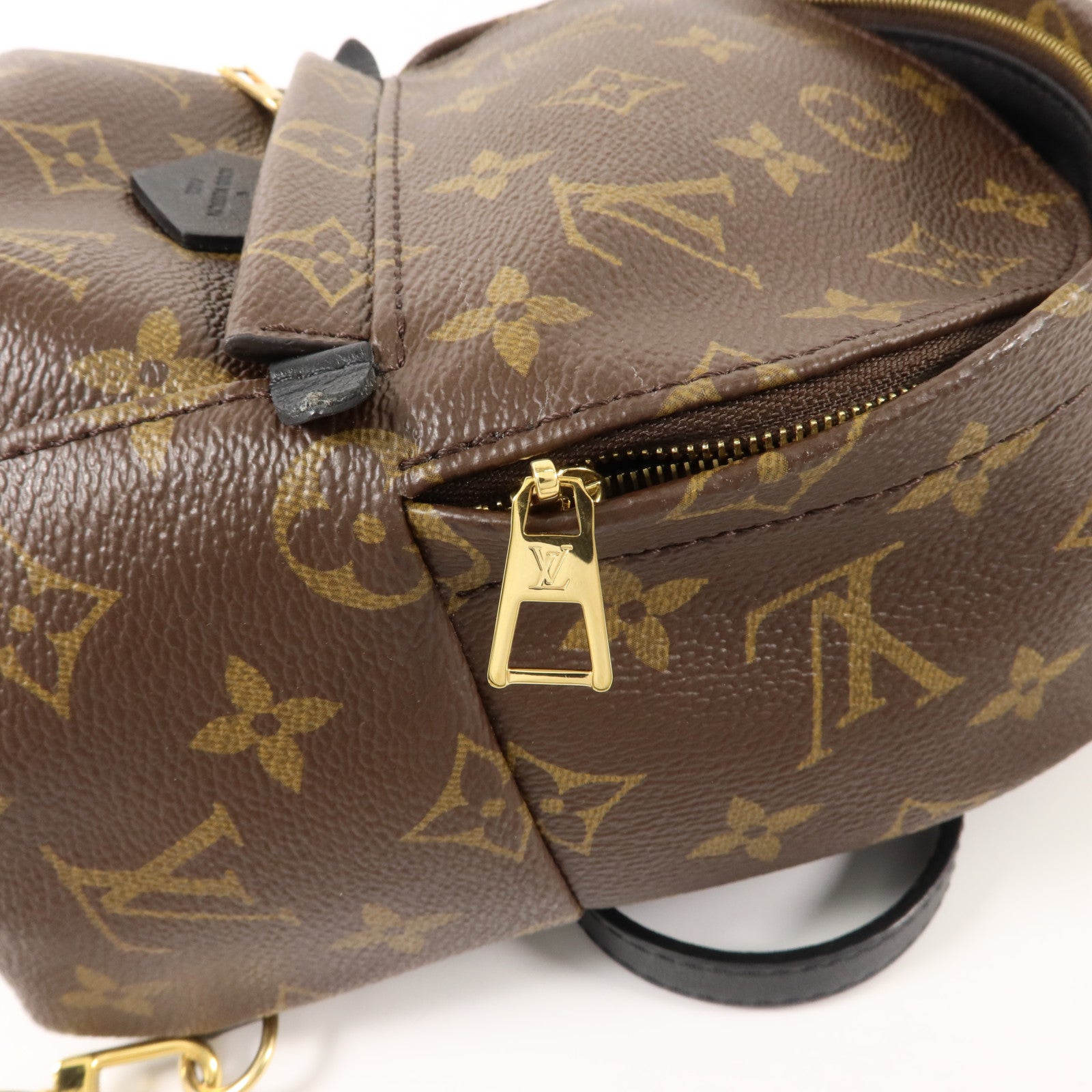 LOUIS VUITTON Monogram Palm Springs金扣背包棕色