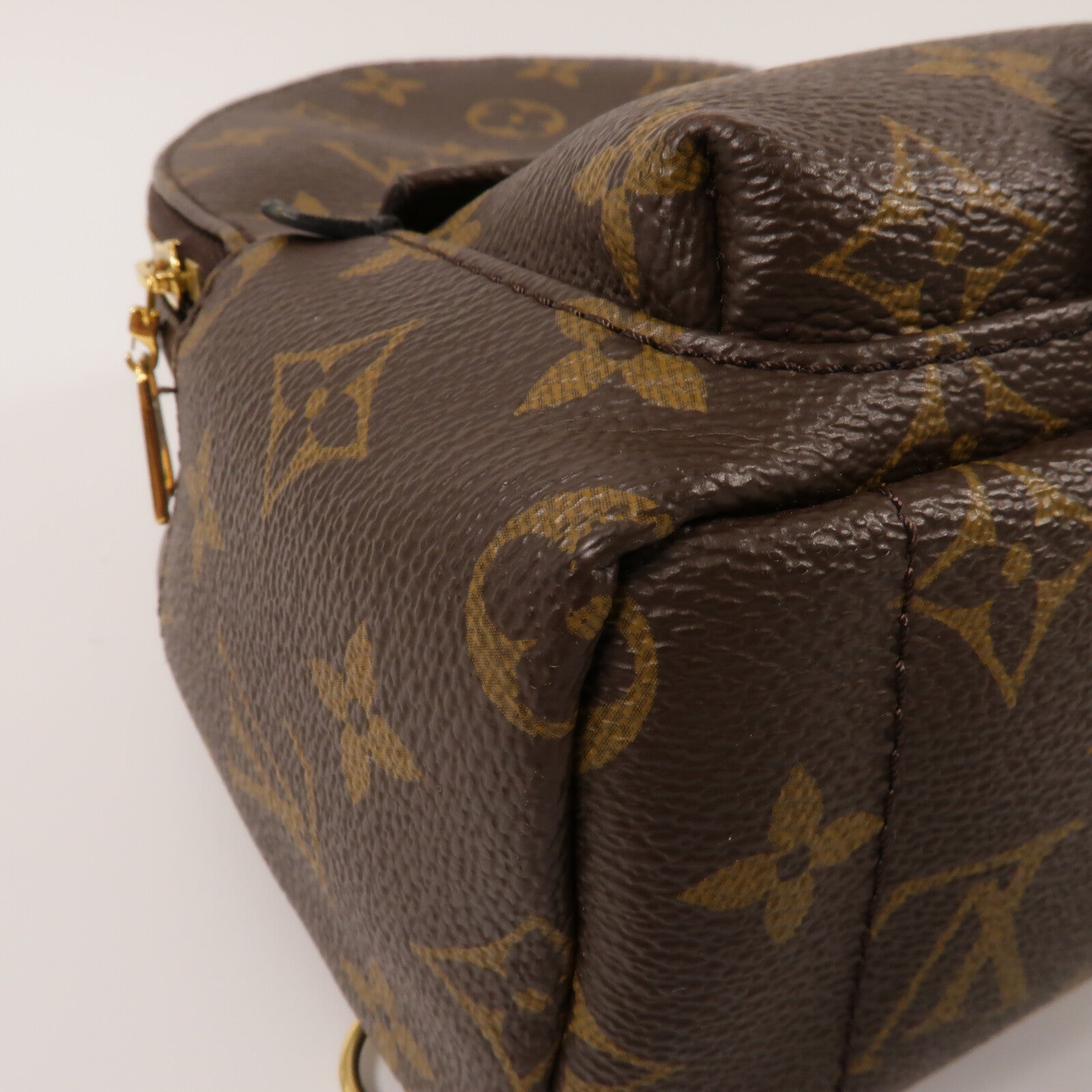 LOUIS VUITTON Monogram Palm Springs Mini背包