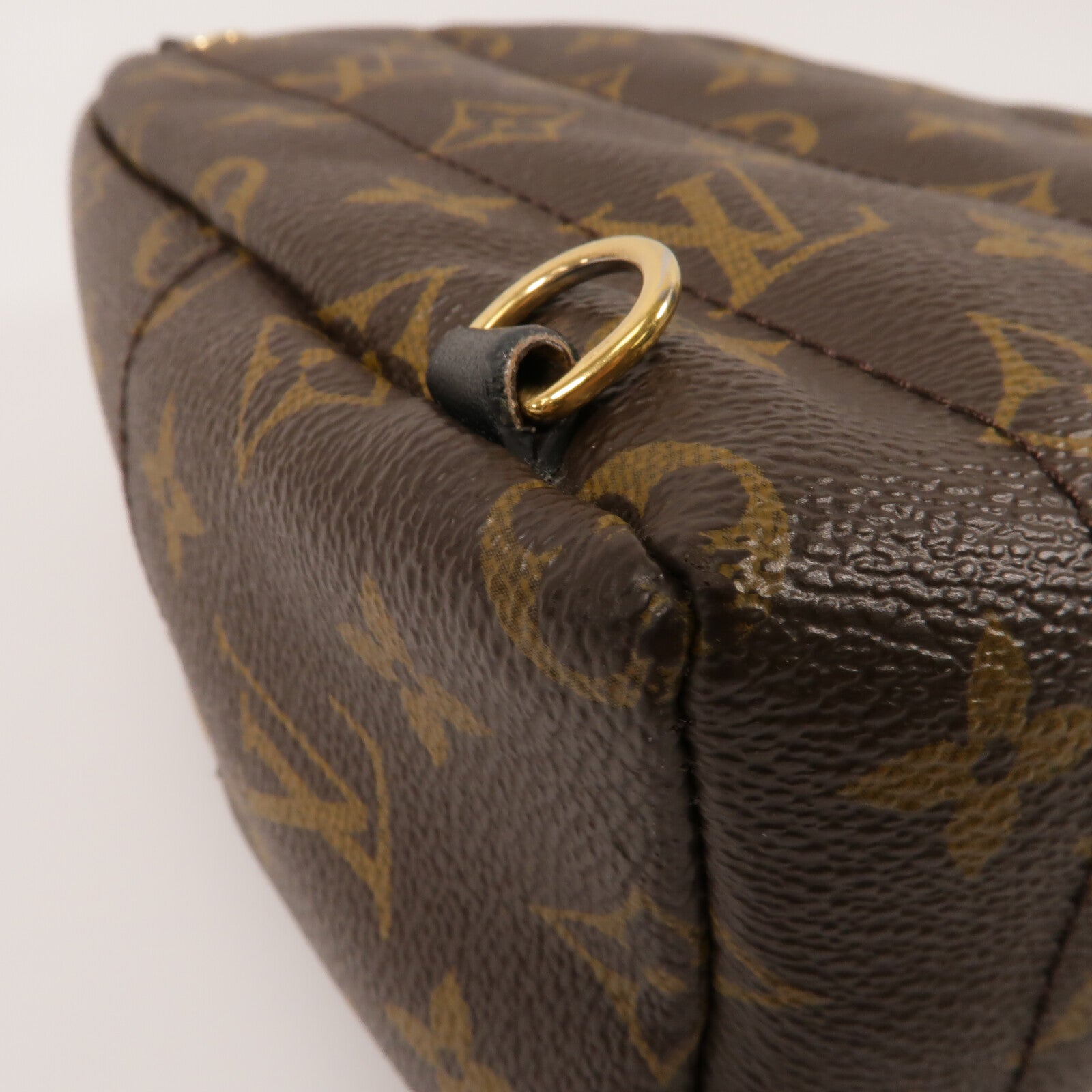 LOUIS VUITTON Monogram Palm Springs Mini背包