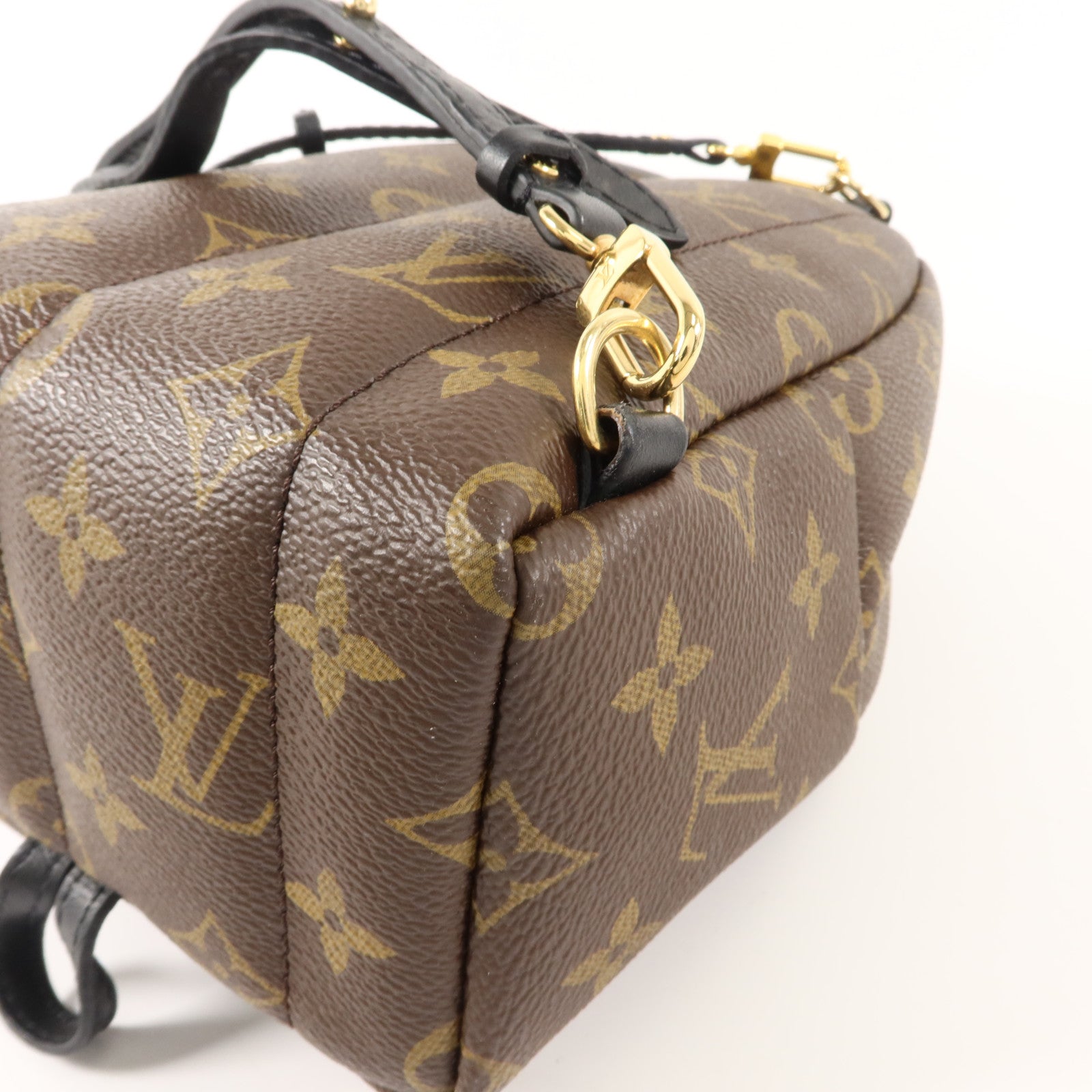 LOUIS VUITTON Monogram Palm Springs金扣背包棕色