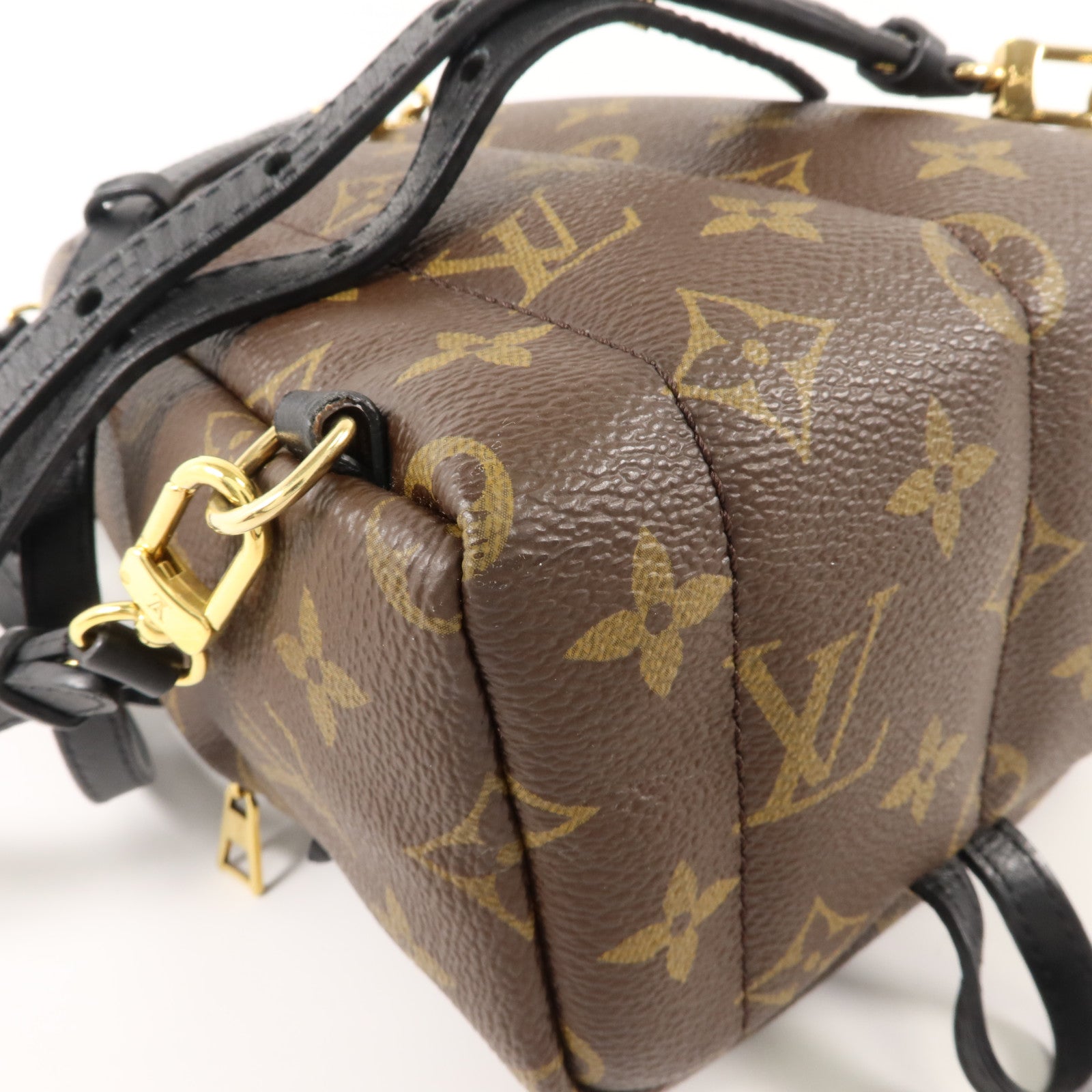 LOUIS VUITTON Monogram Palm Springs金扣背包棕色