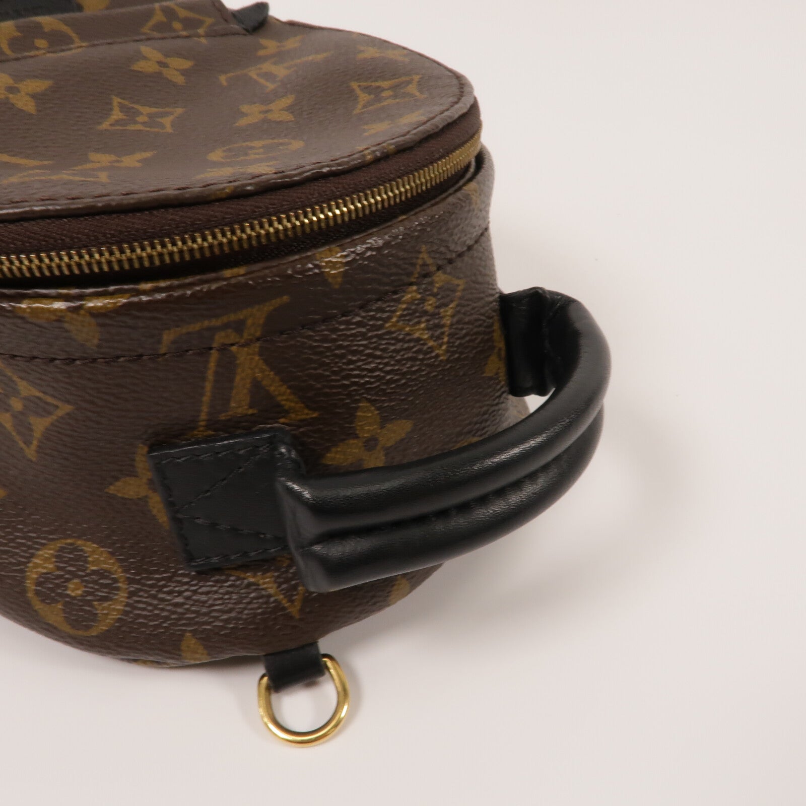 LOUIS VUITTON Monogram Palm Springs Mini背包