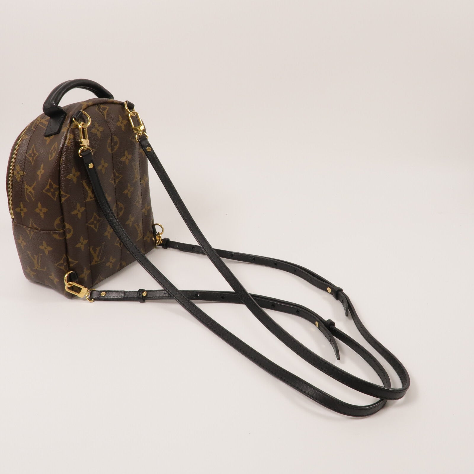 LOUIS VUITTON Monogram Palm Springs Mini背包