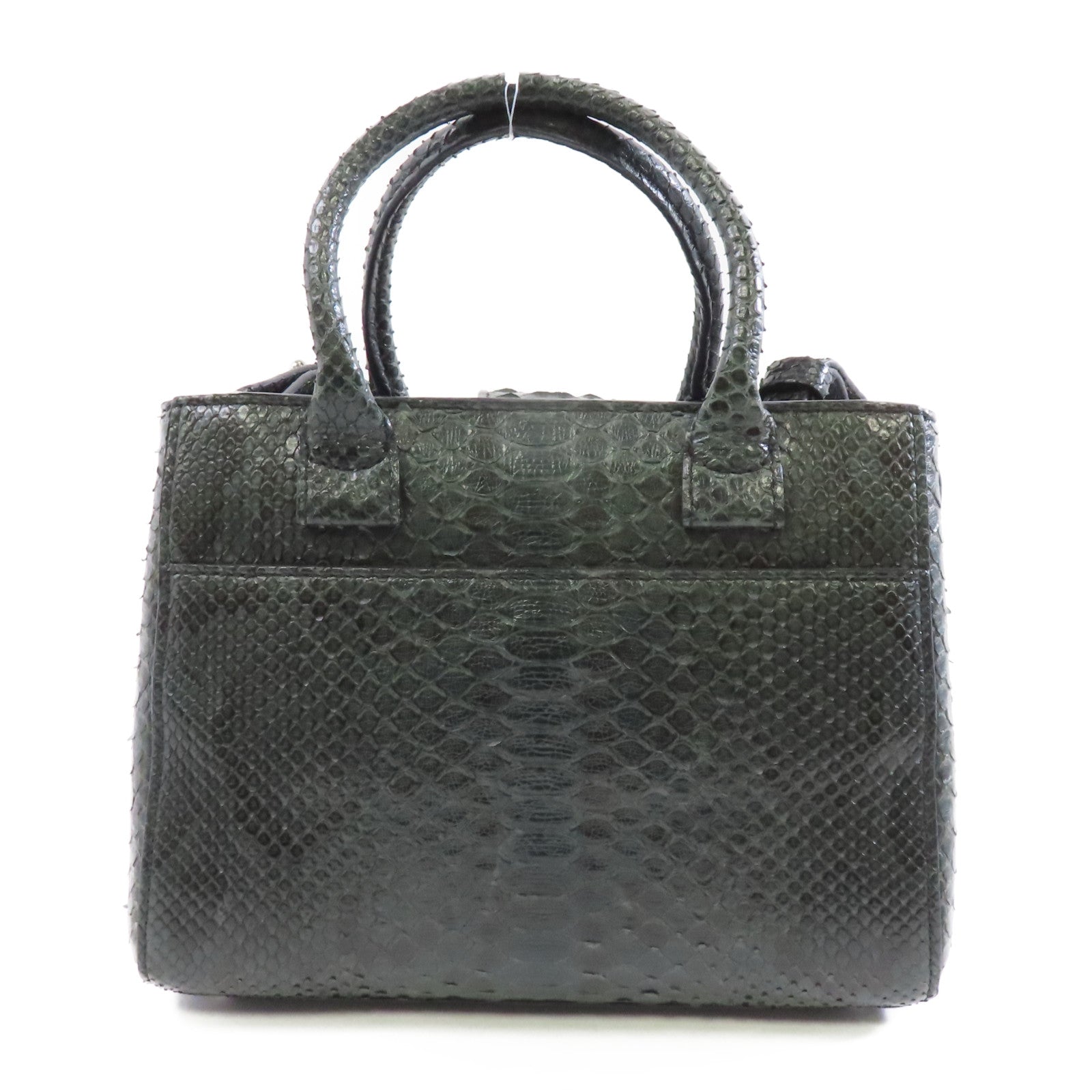 CHANEL 【激減優惠】蛇皮皮革2 Way Shoulder銀扣手挽肩背兩用袋綠色