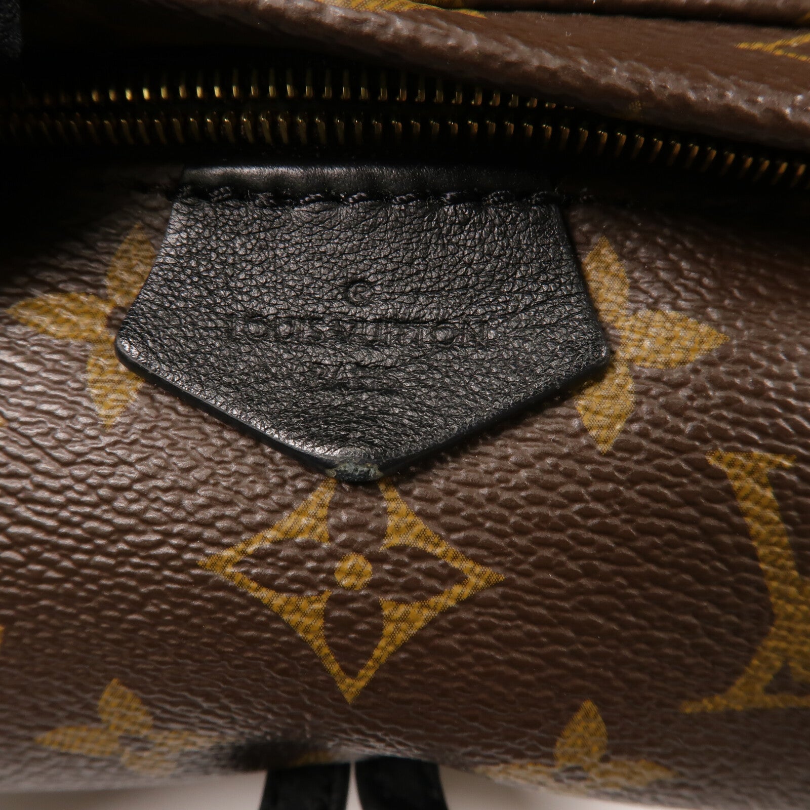 LOUIS VUITTON Monogram Palm Springs Mini背包