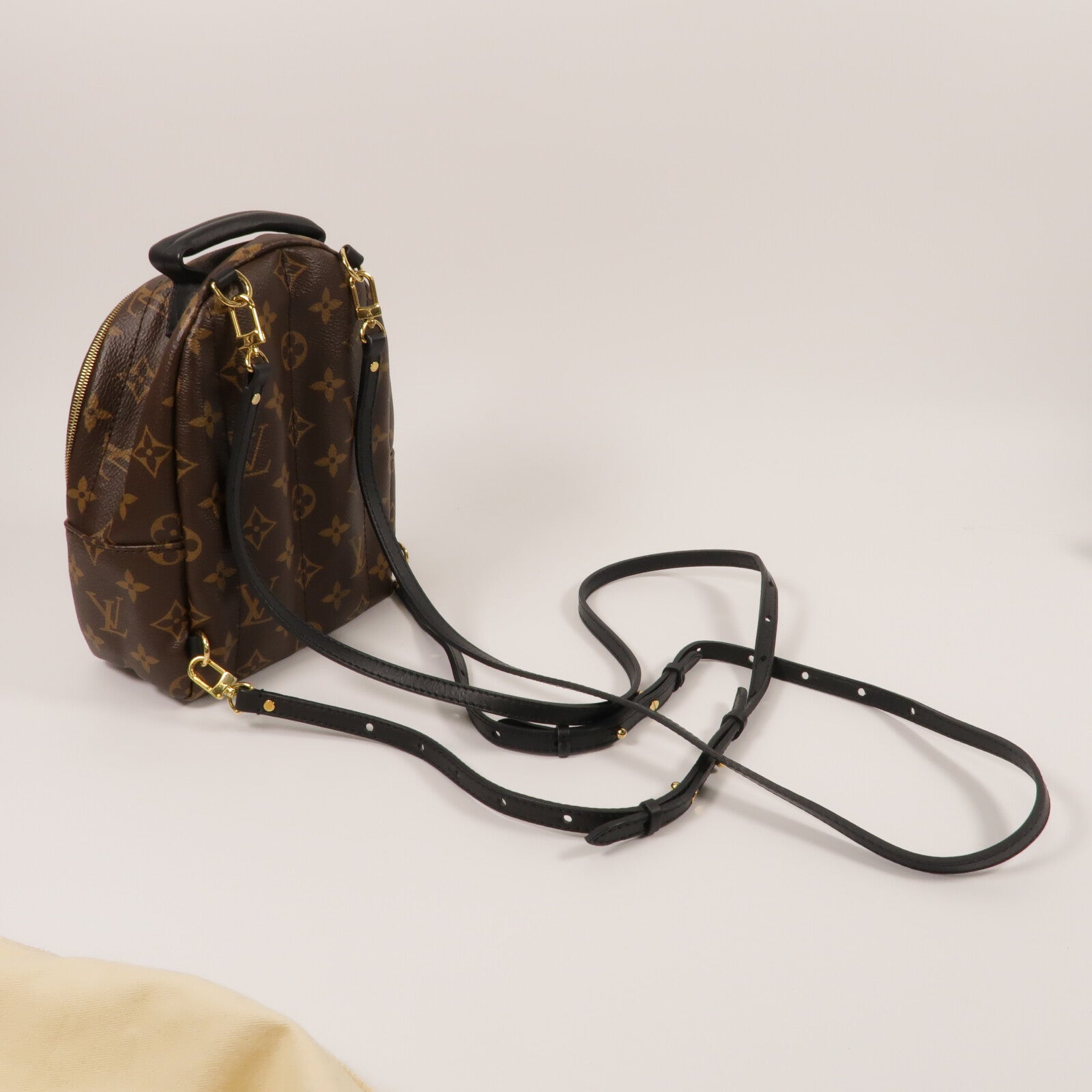 LOUIS VUITTON Monogram Palm Springs Mini金扣背包