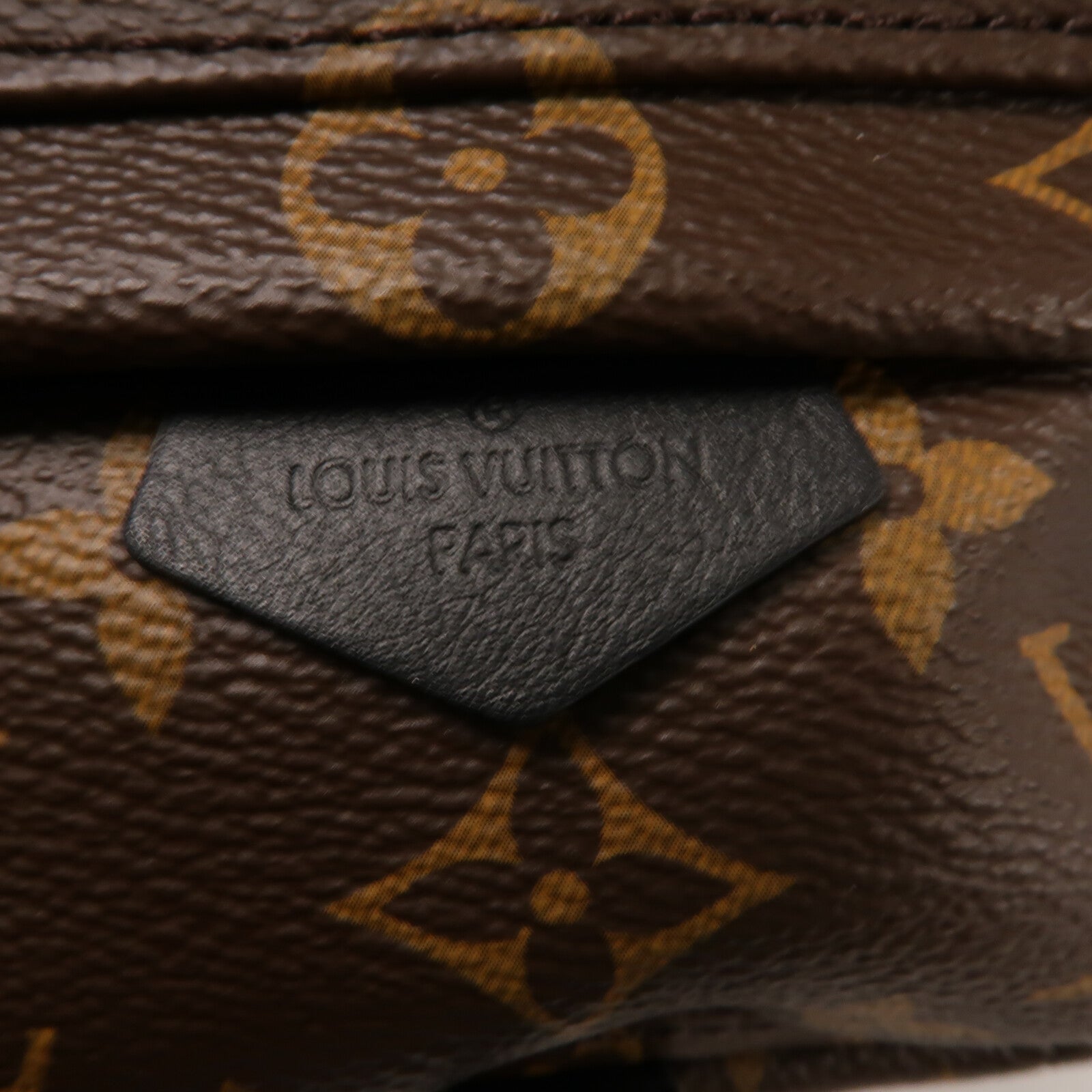 LOUIS VUITTON Monogram Palm Springs Mini金扣背包