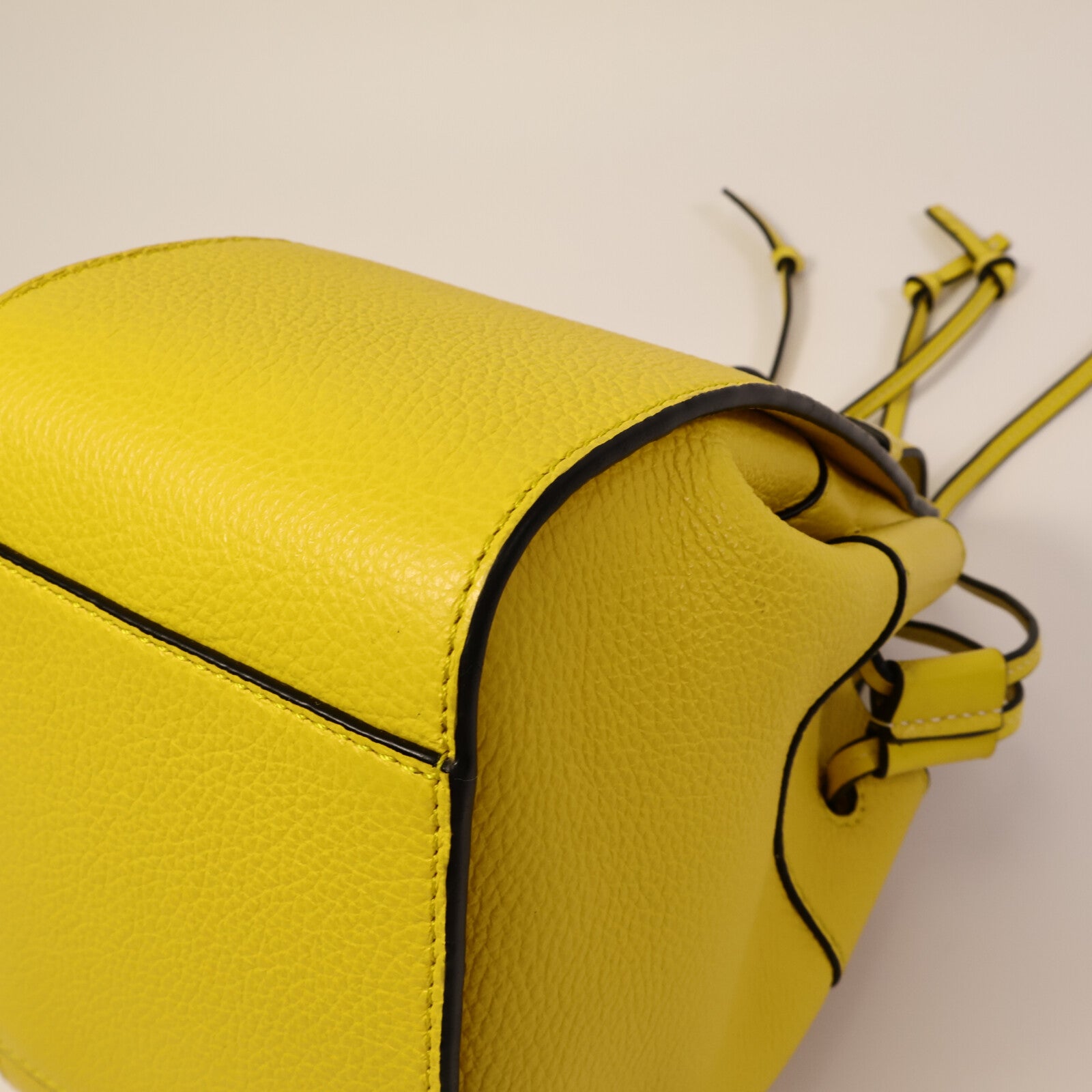 LOEWE 牛皮皮革Hammock Mini手挽肩背兩用袋