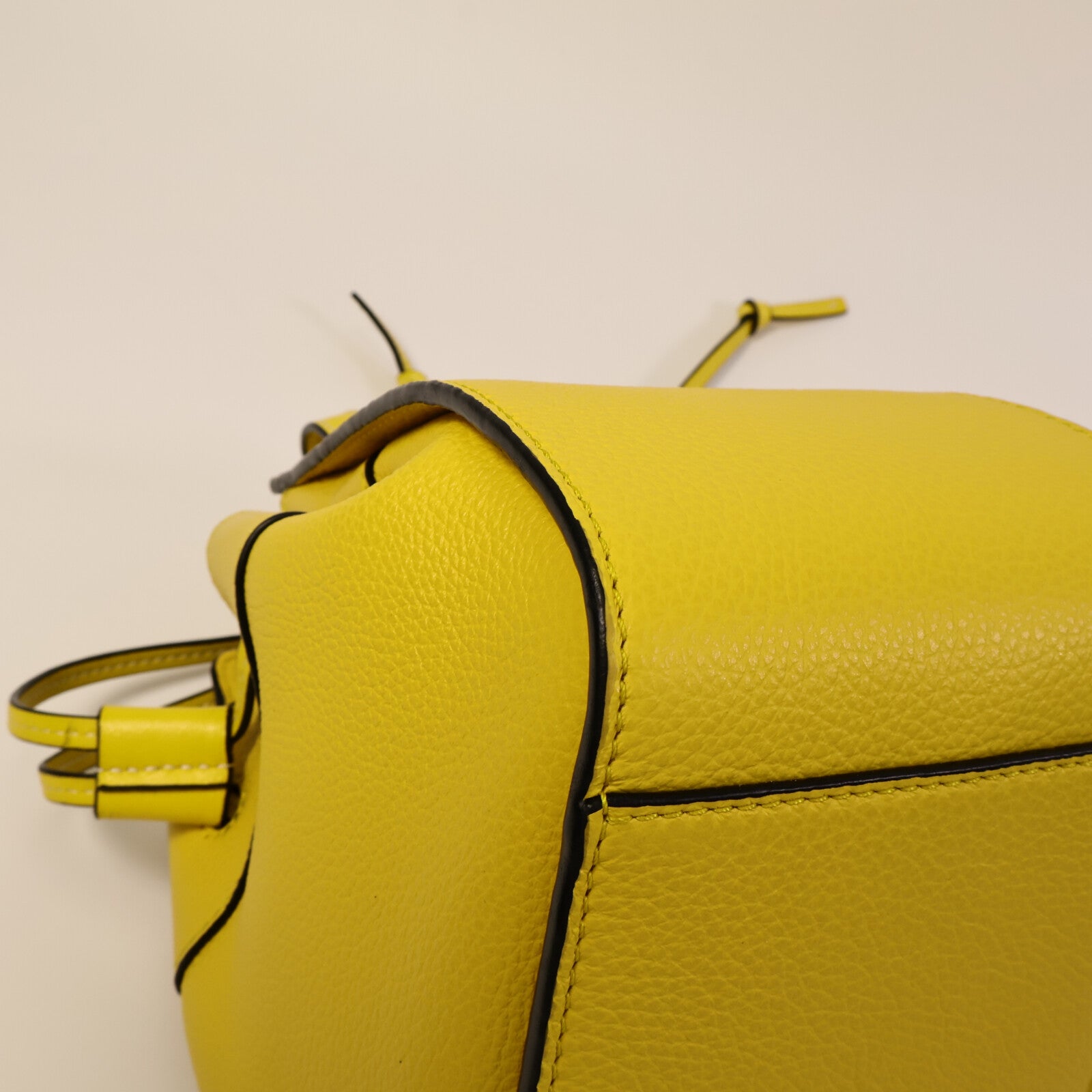 LOEWE 牛皮皮革Hammock Mini手挽肩背兩用袋