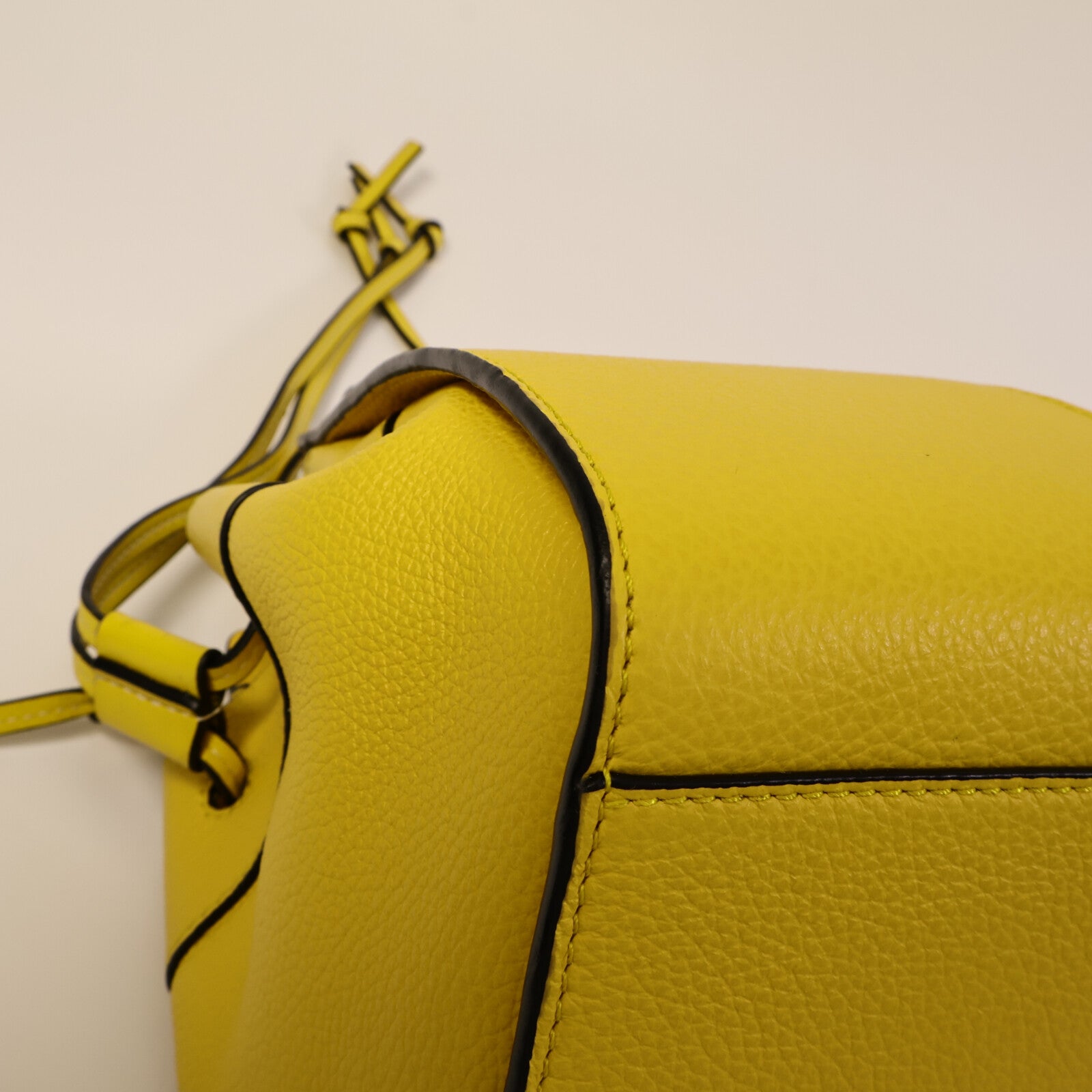 LOEWE 牛皮皮革Hammock Mini手挽肩背兩用袋