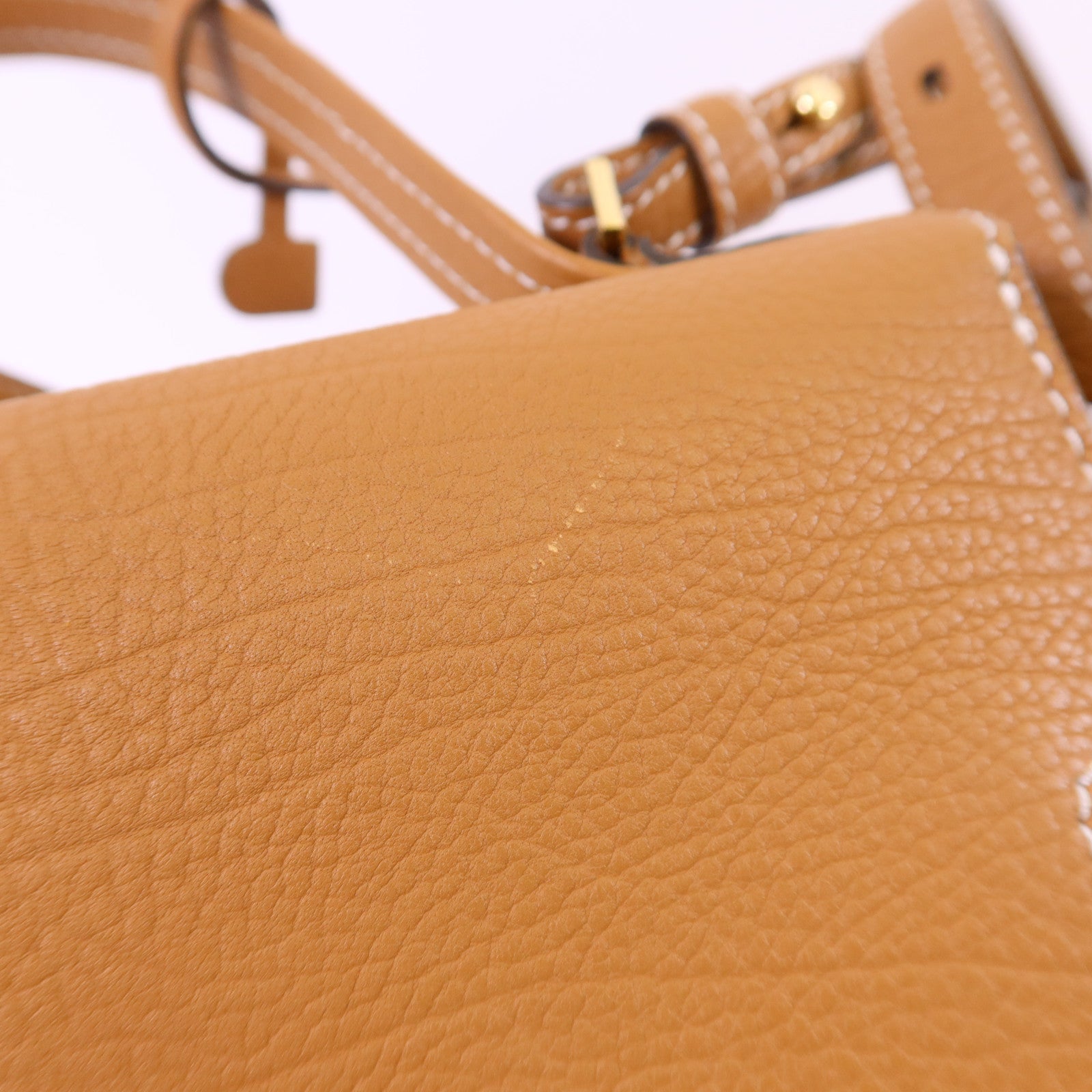 Delvaux 牛皮皮革Tempete PM金扣手挽肩背兩用袋