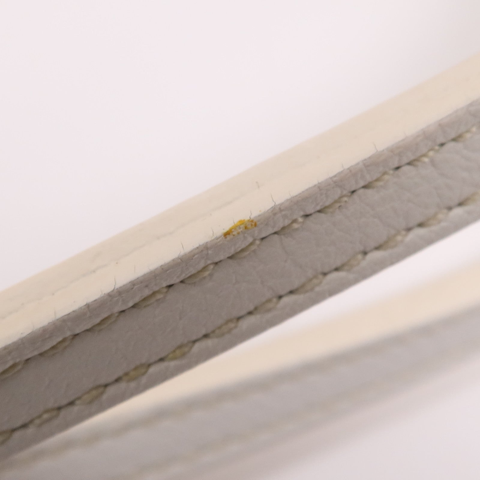 GOYARD 塗層帆布Anjou Mini Bag銀扣肩背袋